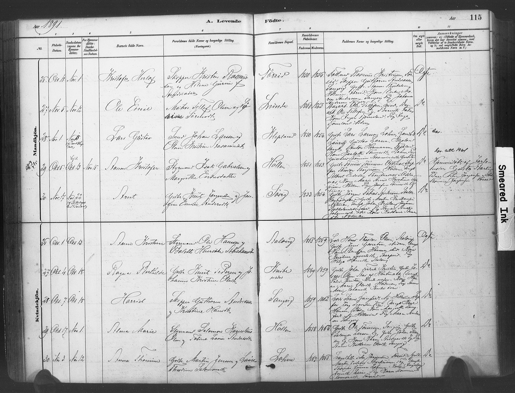 Søgne sokneprestkontor, SAK/1111-0037/F/Fa/Fab/L0012: Parish register (official) no. A 12, 1880-1891, p. 115