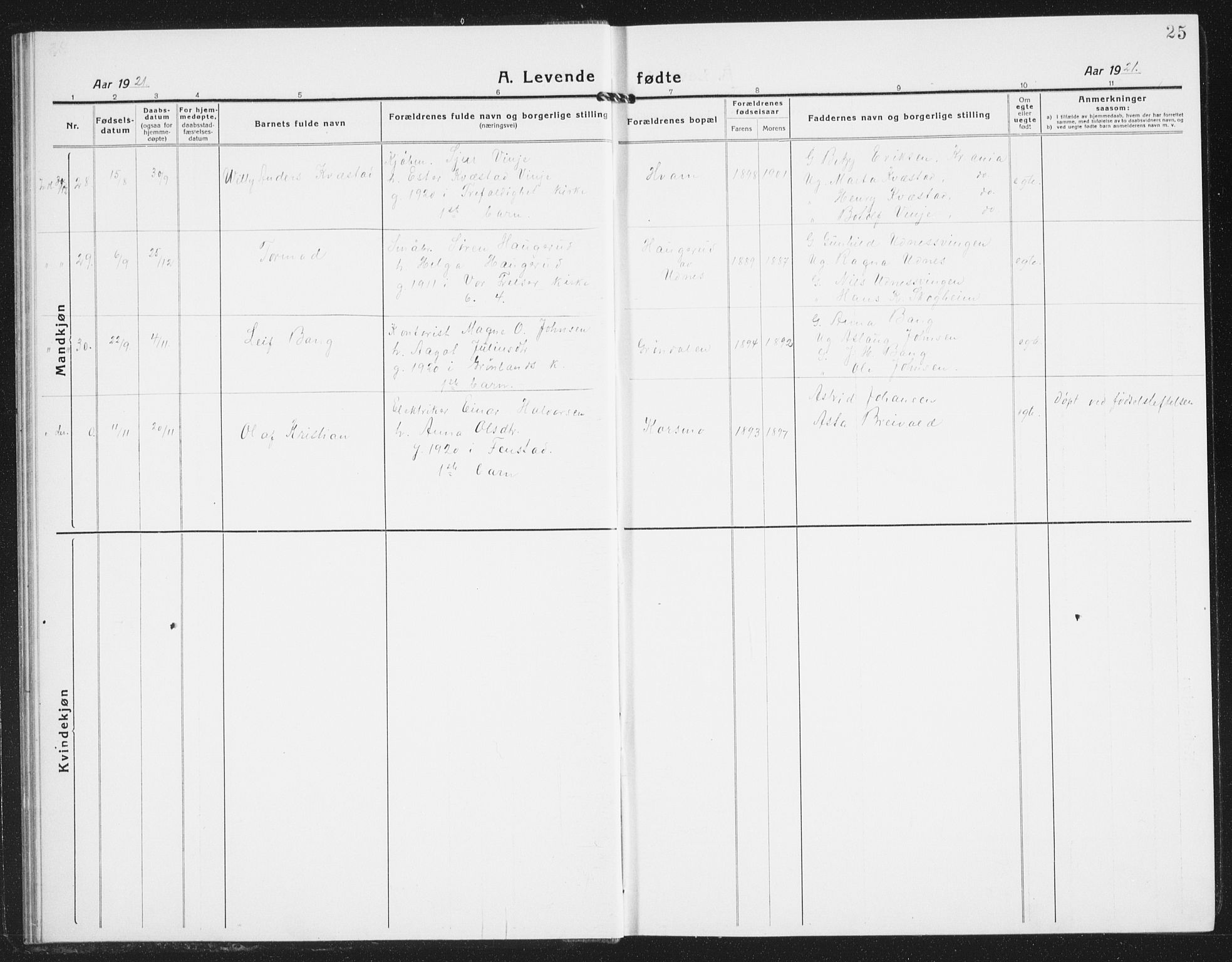 Nes prestekontor Kirkebøker, AV/SAO-A-10410/G/Gb/L0002: Parish register (copy) no. II 2, 1918-1942, p. 25