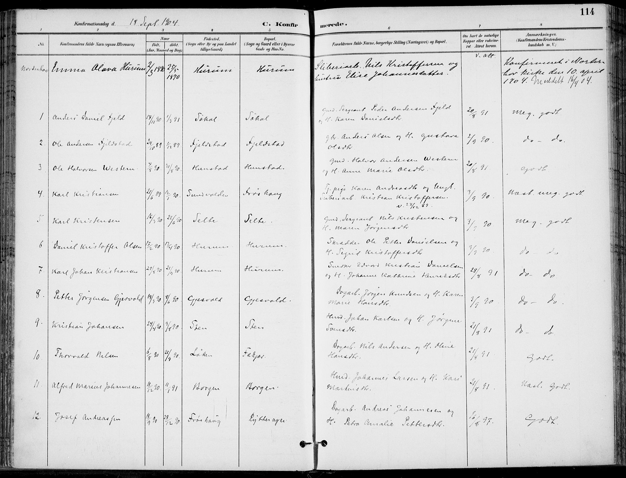 Hole kirkebøker, SAKO/A-228/F/Fa/L0009: Parish register (official) no. I 9, 1892-1907, p. 114