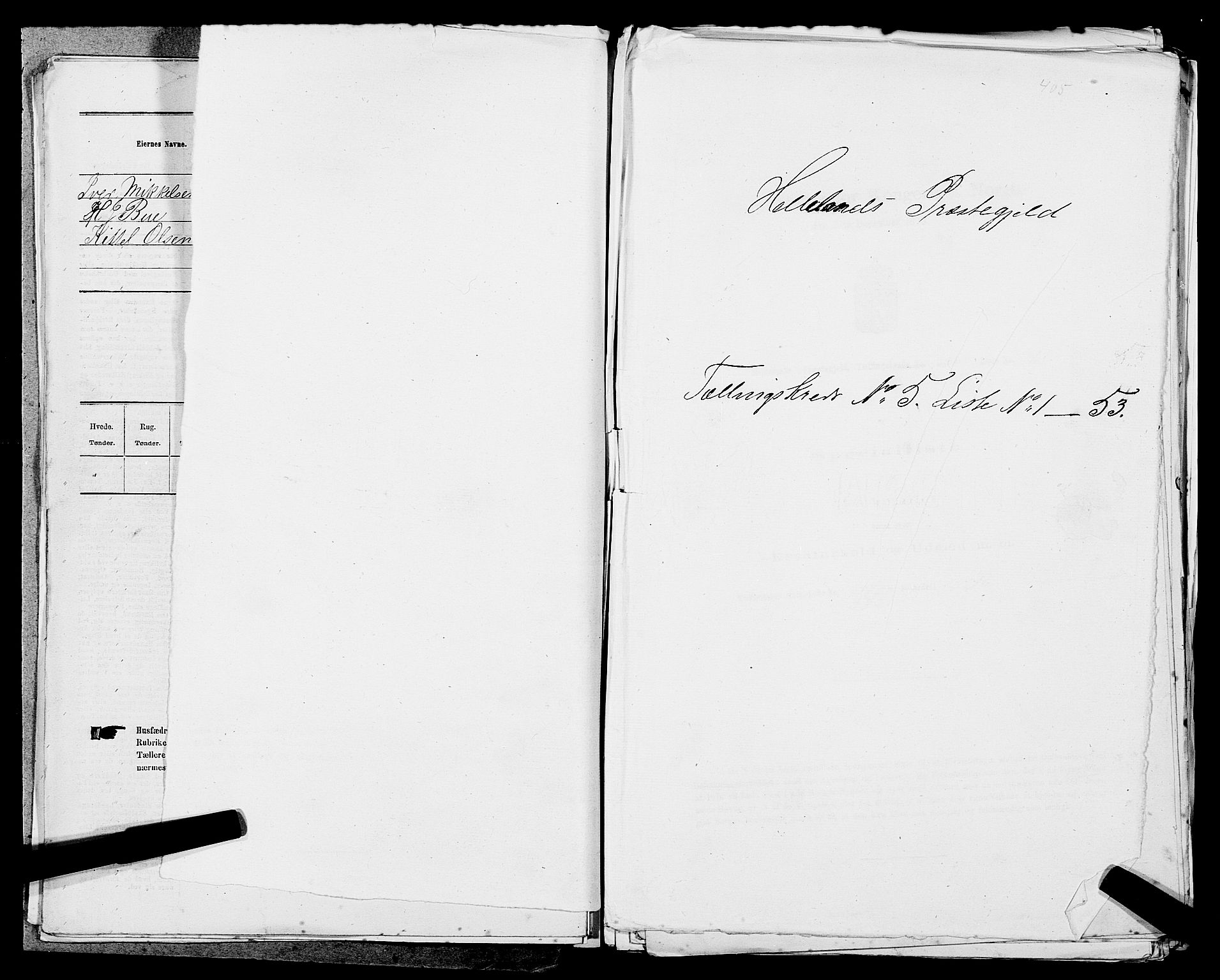 SAST, 1875 census for 1115P Helleland, 1875, p. 976