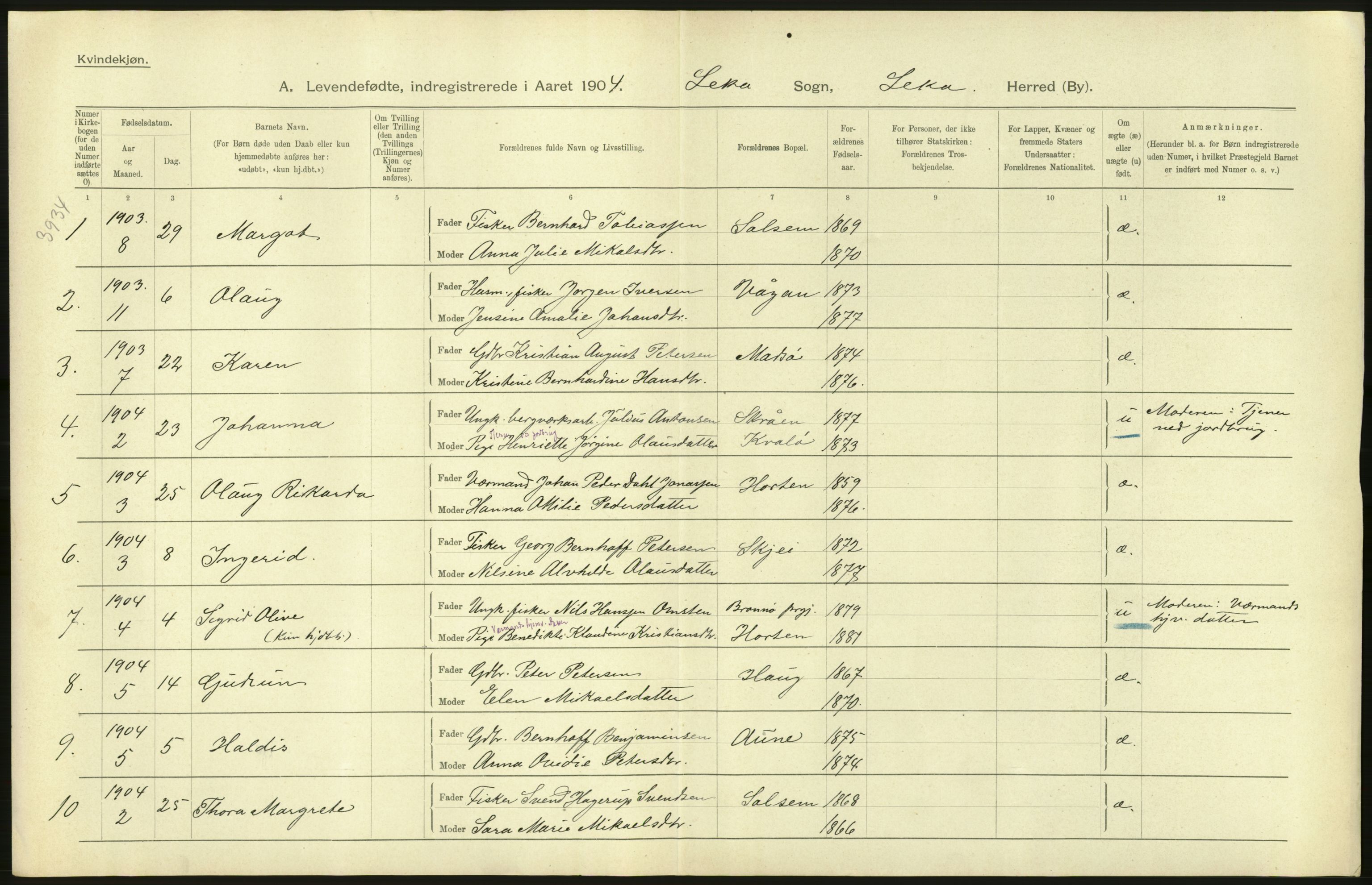 Statistisk sentralbyrå, Sosiodemografiske emner, Befolkning, AV/RA-S-2228/D/Df/Dfa/Dfab/L0019: Nordre Trondhjems amt: Fødte, gifte, døde, 1904, p. 306