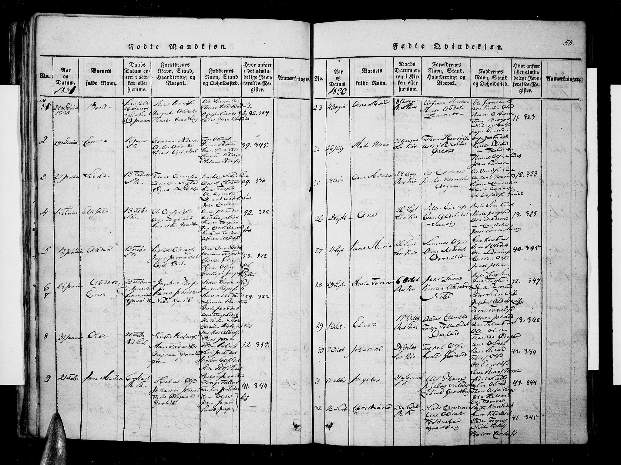 Søndeled sokneprestkontor, AV/SAK-1111-0038/F/Fa/L0001: Parish register (official) no. A 1, 1816-1838, p. 55