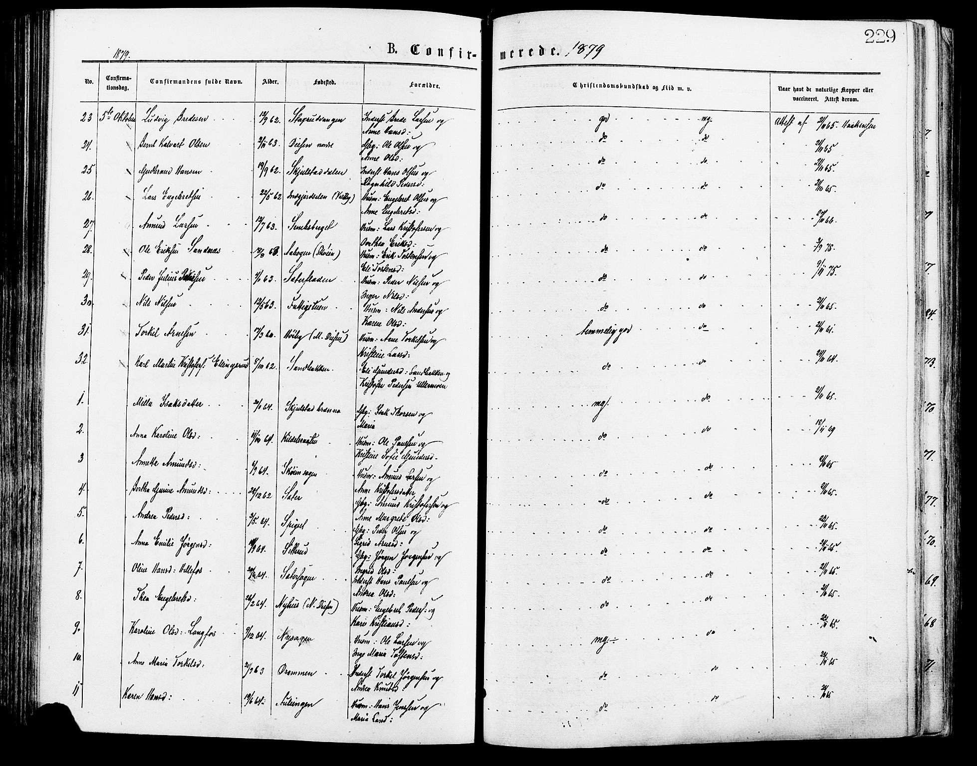 Sør-Odal prestekontor, AV/SAH-PREST-030/H/Ha/Haa/L0005: Parish register (official) no. 5, 1876-1885, p. 229