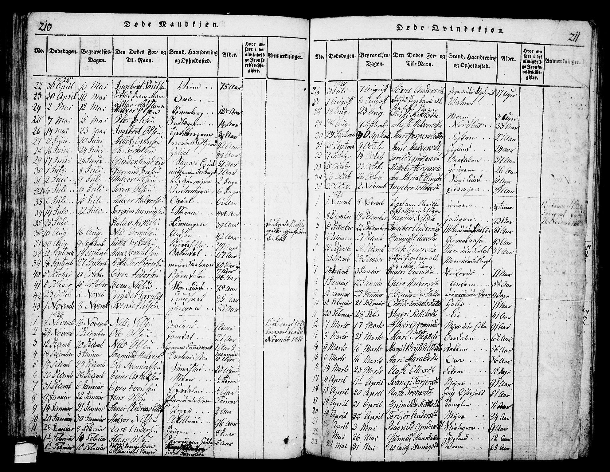 Bø kirkebøker, AV/SAKO-A-257/G/Ga/L0001: Parish register (copy) no. 1, 1815-1831, p. 210-211