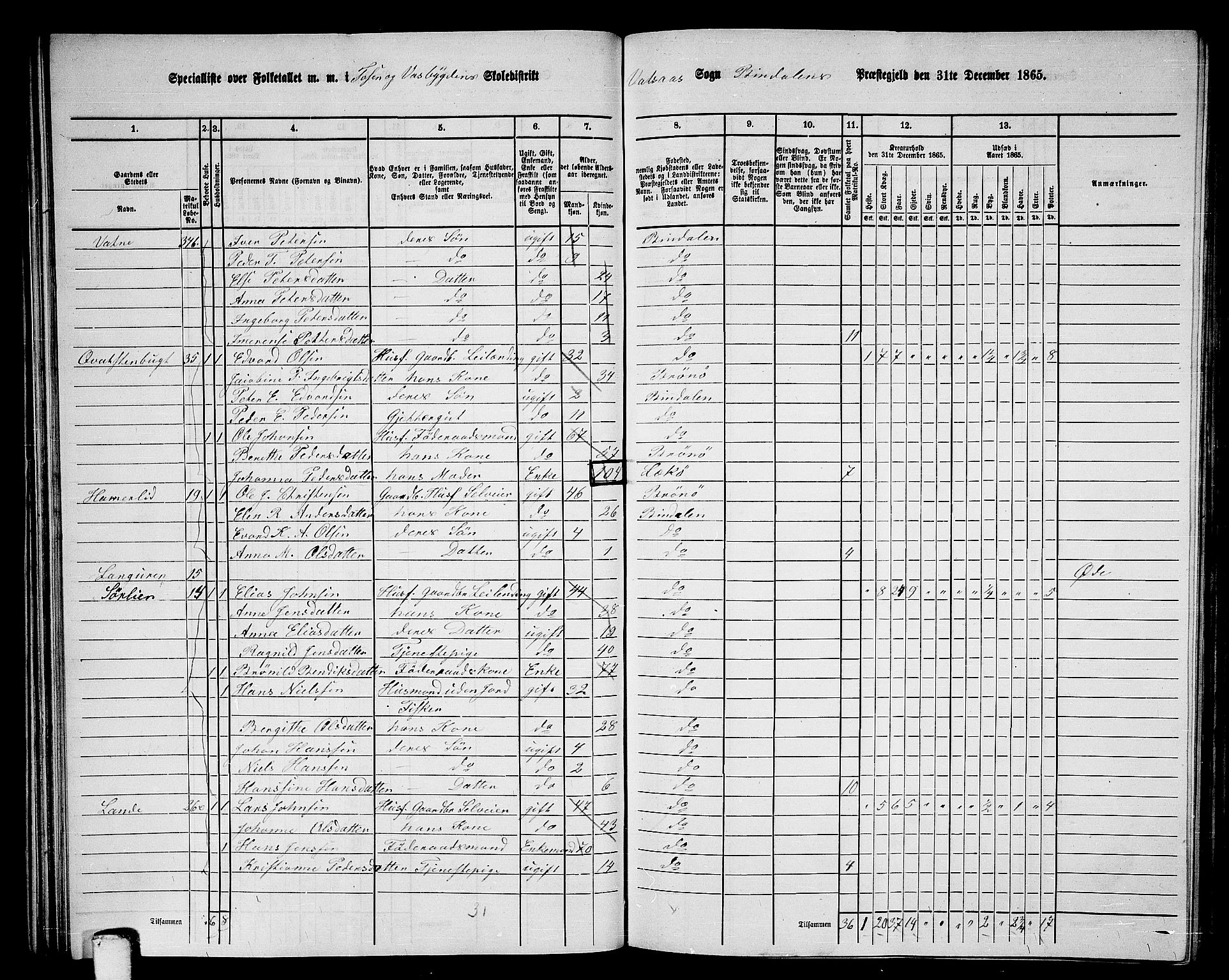 RA, 1865 census for Bindal, 1865, p. 40