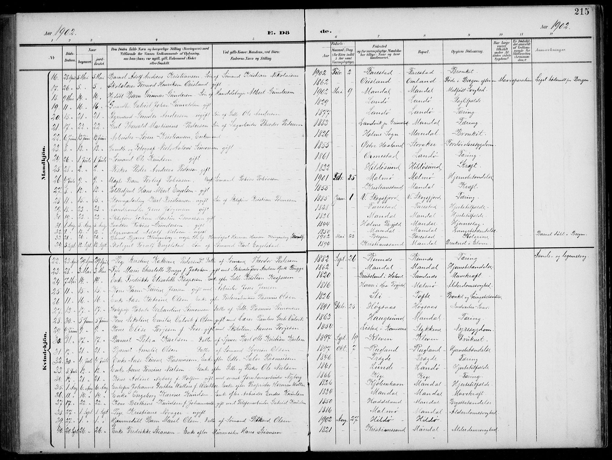 Mandal sokneprestkontor, AV/SAK-1111-0030/F/Fb/Fba/L0012: Parish register (copy) no. B 6, 1899-1918, p. 215