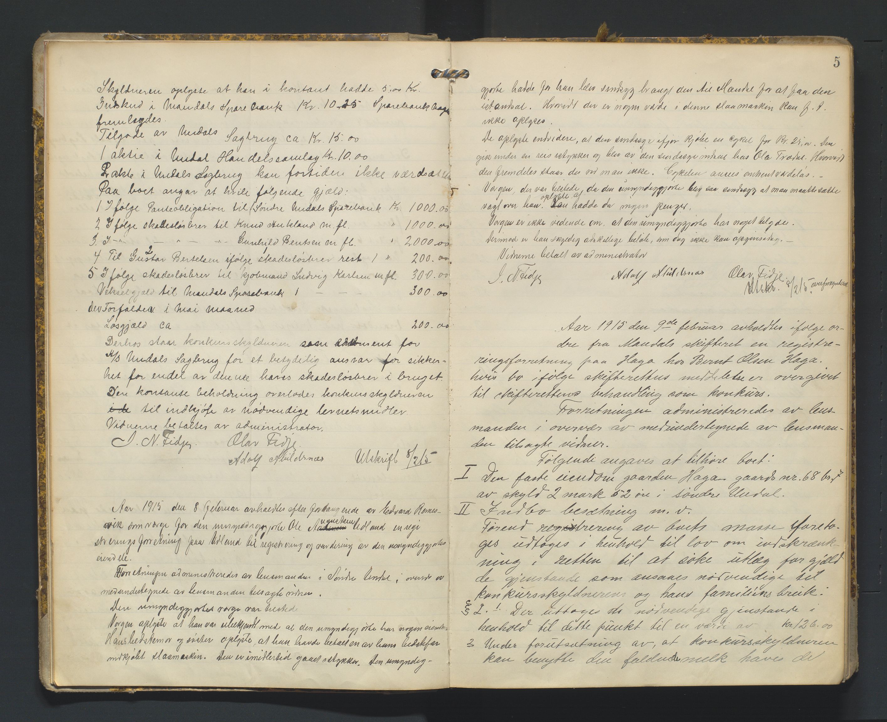 Mandal sorenskriveri, AV/SAK-1221-0005/001/H/Hc/L0065: Skifteregistreringsprotokoll nr 21 Sør-Audnedal, 1915-1931, p. 5