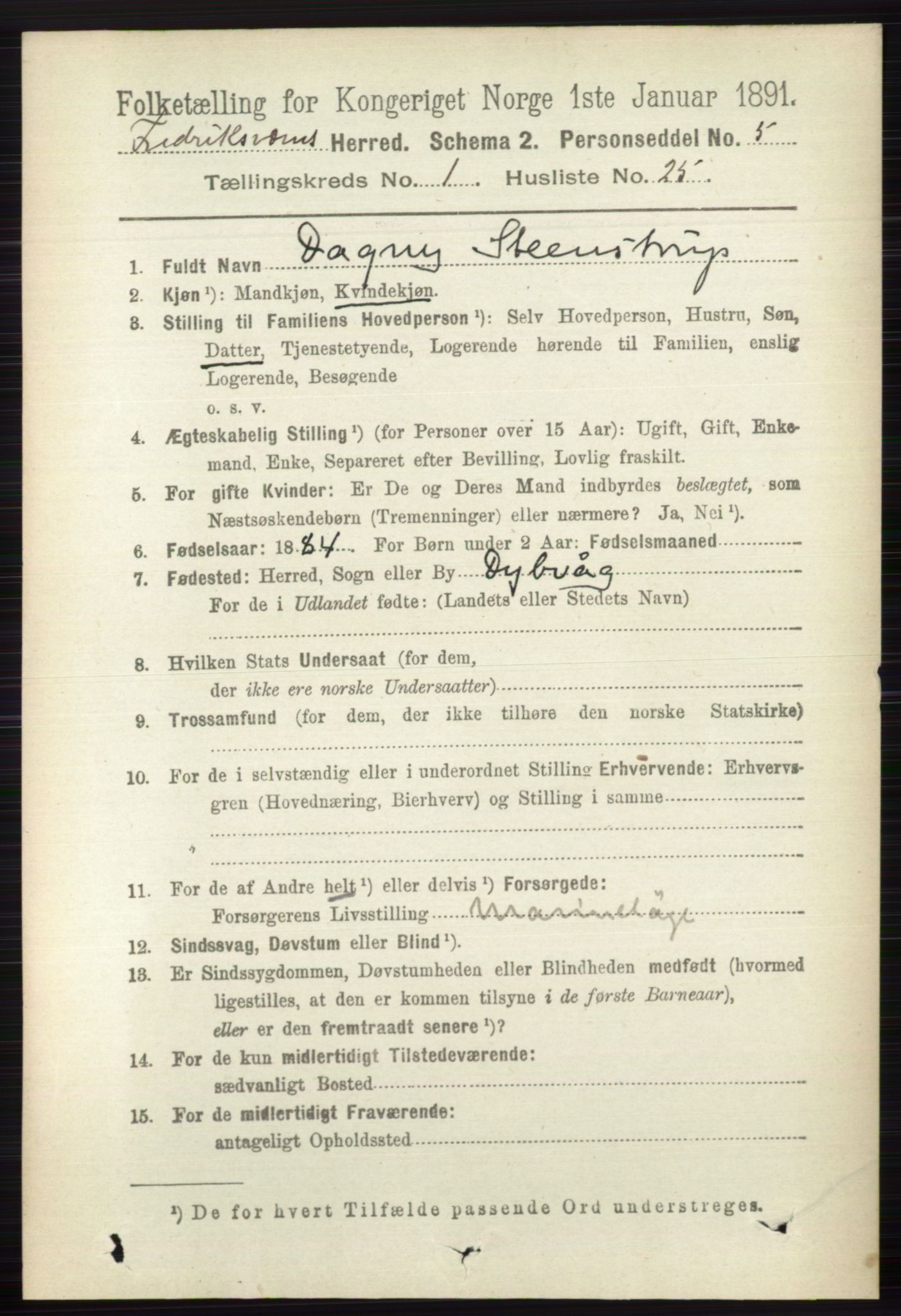 RA, 1891 census for 0798 Fredriksvern, 1891, p. 213