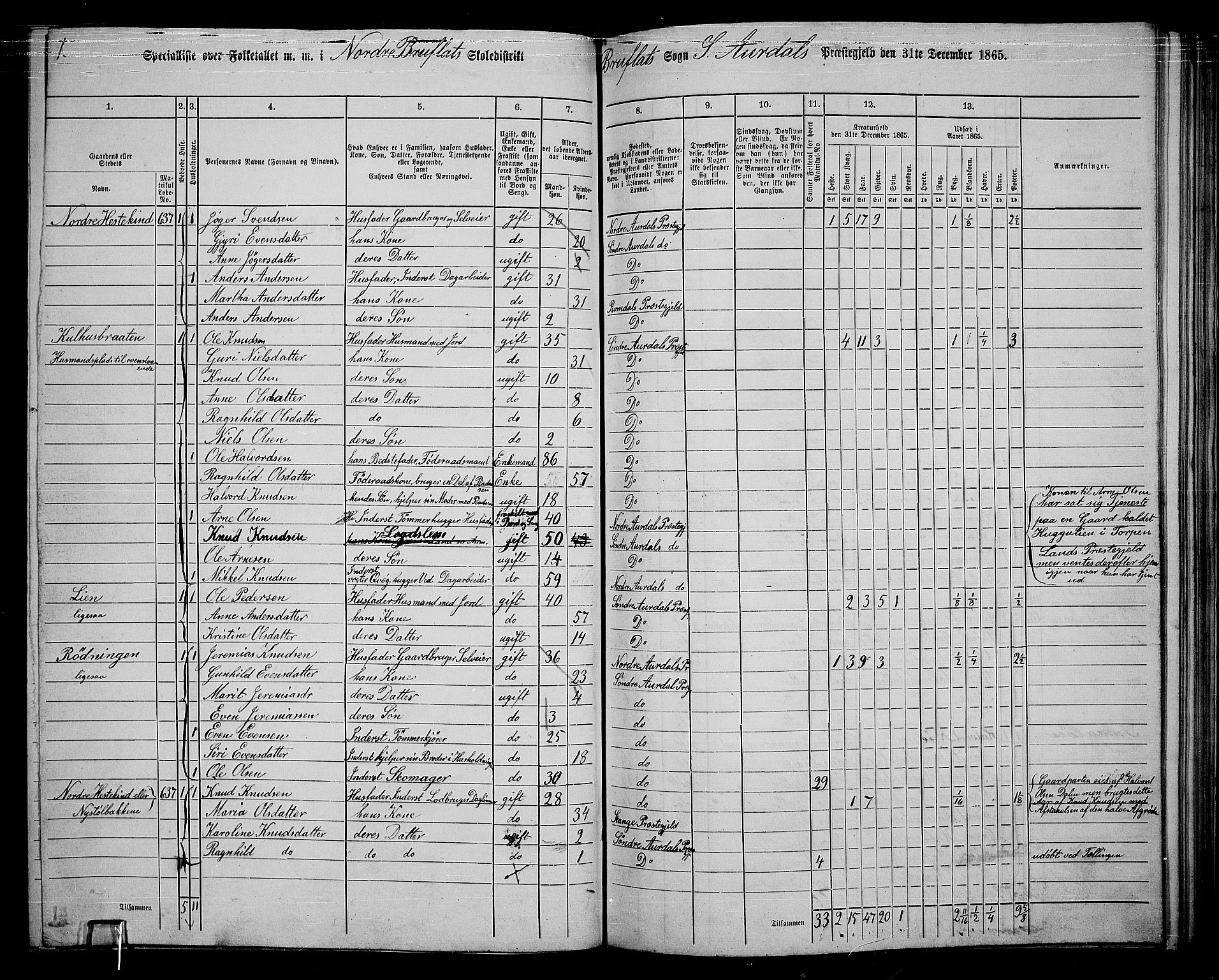 RA, 1865 census for Sør-Aurdal, 1865, p. 185