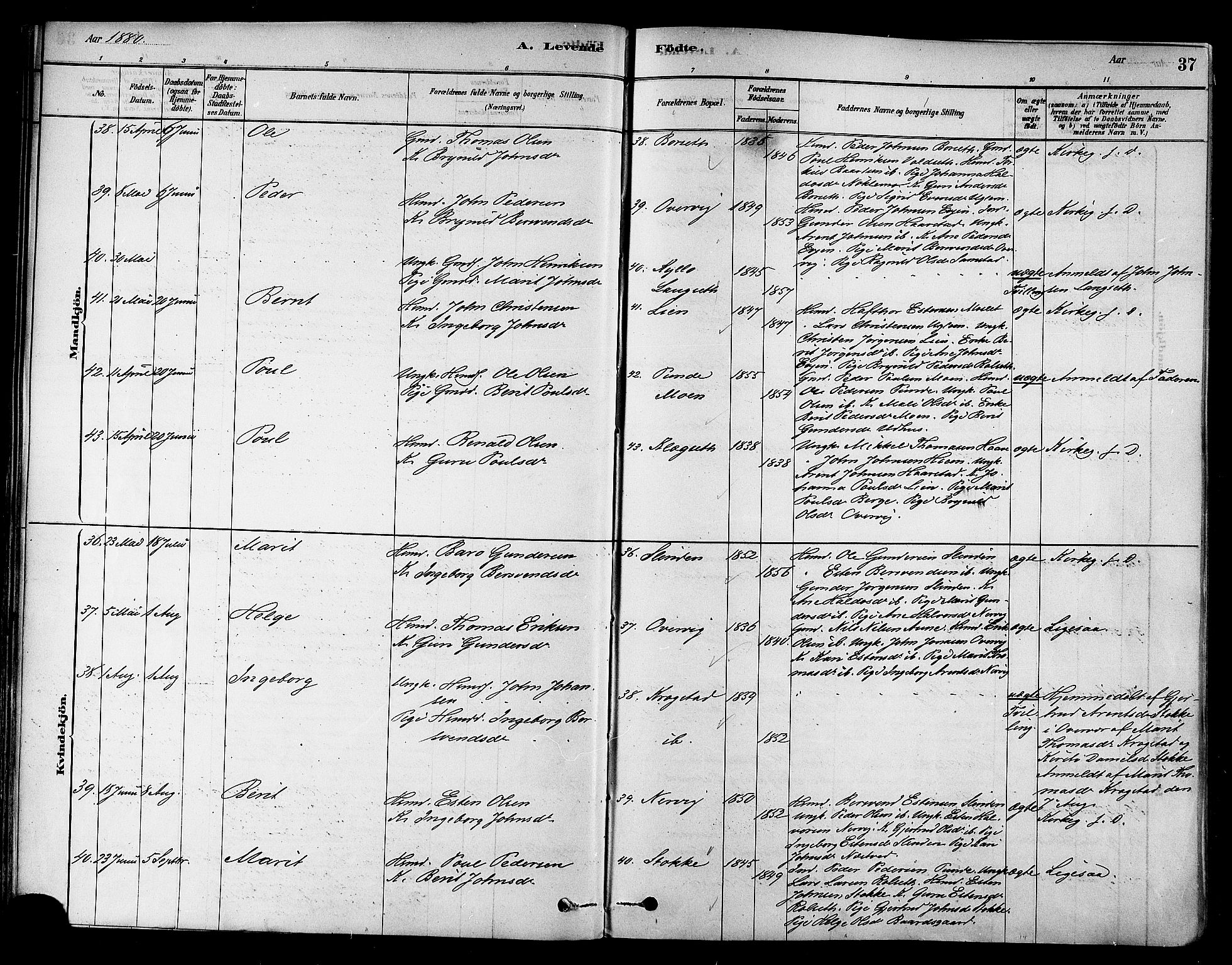 Ministerialprotokoller, klokkerbøker og fødselsregistre - Sør-Trøndelag, AV/SAT-A-1456/695/L1148: Parish register (official) no. 695A08, 1878-1891, p. 37