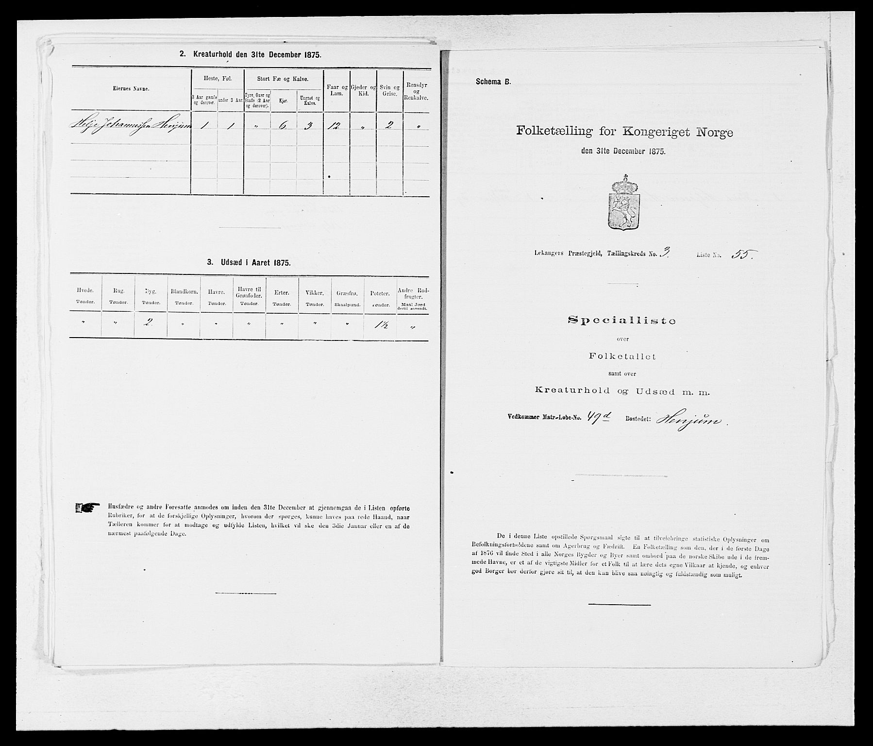 SAB, 1875 census for 1419P Leikanger, 1875, p. 303