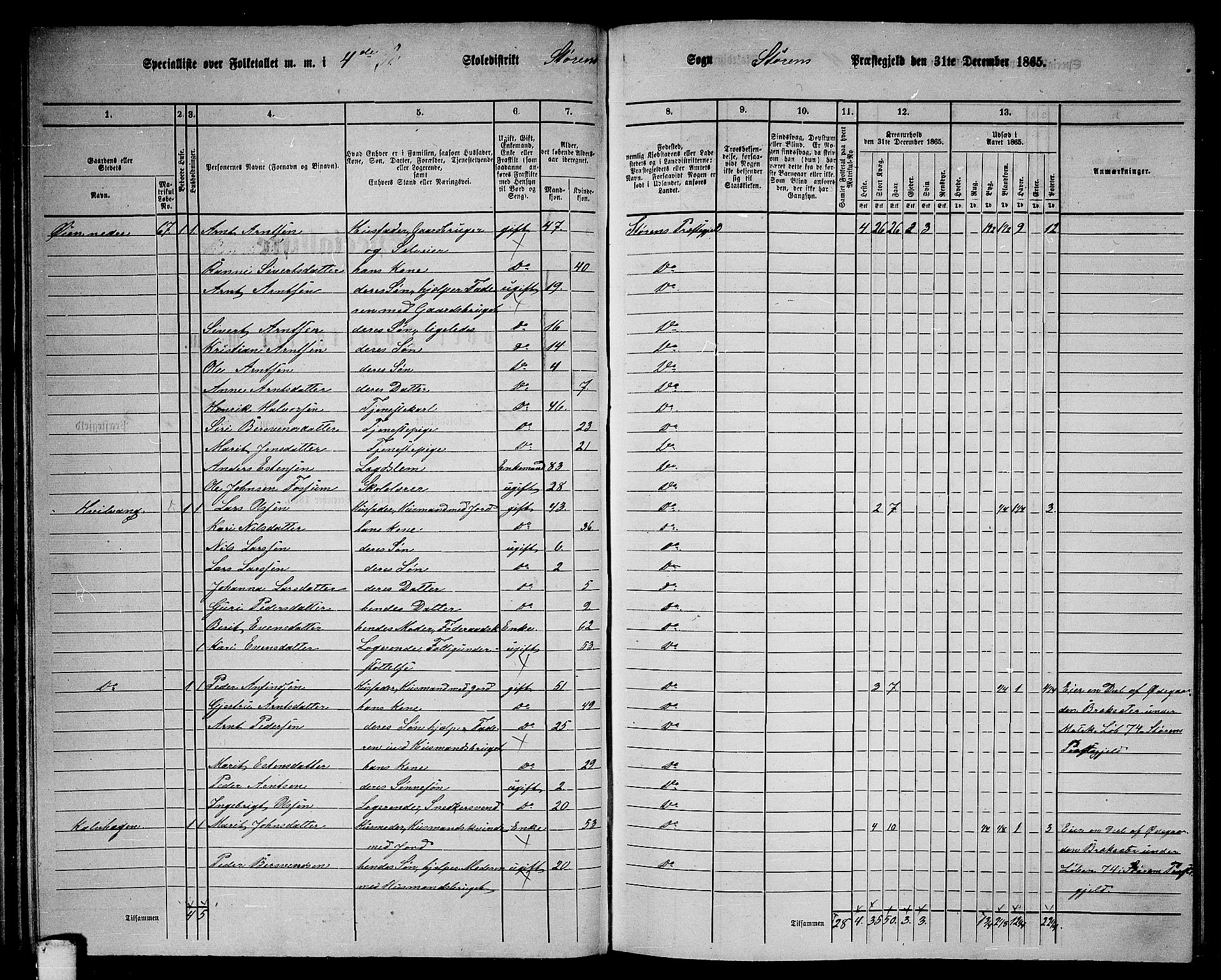 RA, 1865 census for Støren, 1865, p. 68