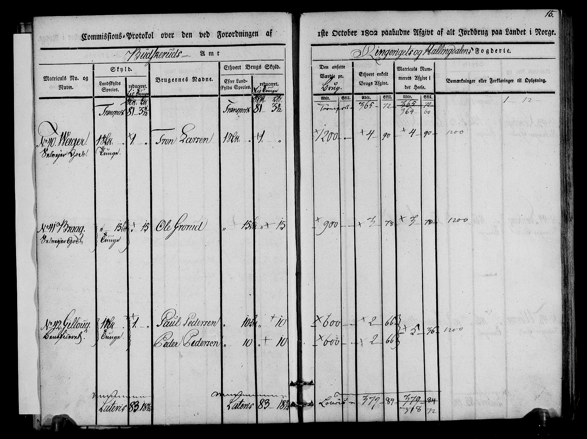 Rentekammeret inntil 1814, Realistisk ordnet avdeling, AV/RA-EA-4070/N/Ne/Nea/L0045: Ringerike og Hallingdal fogderi. Kommisjonsprotokoll for Norderhov prestegjeld, 1803, p. 17
