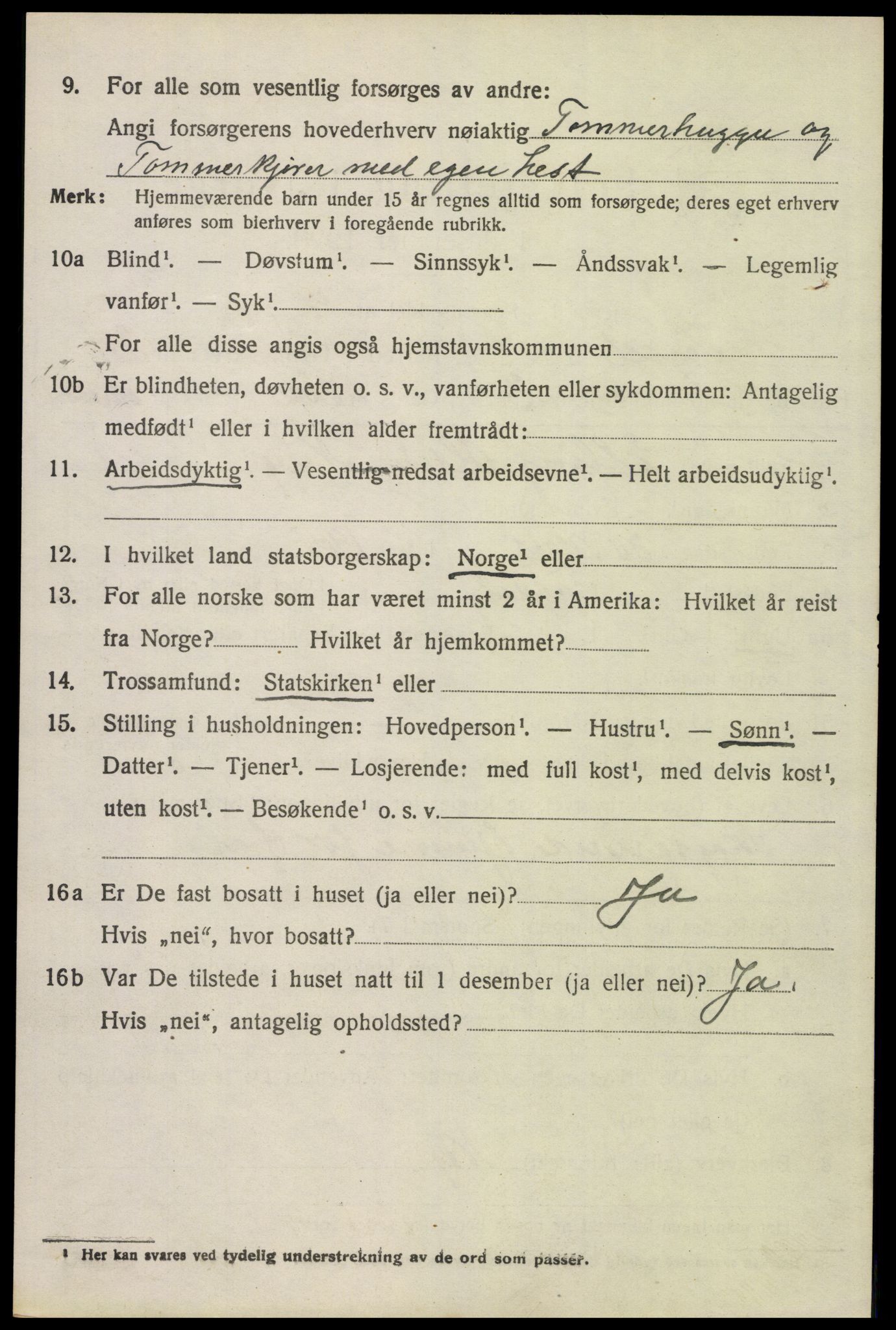 SAH, 1920 census for Trysil, 1920, p. 15240