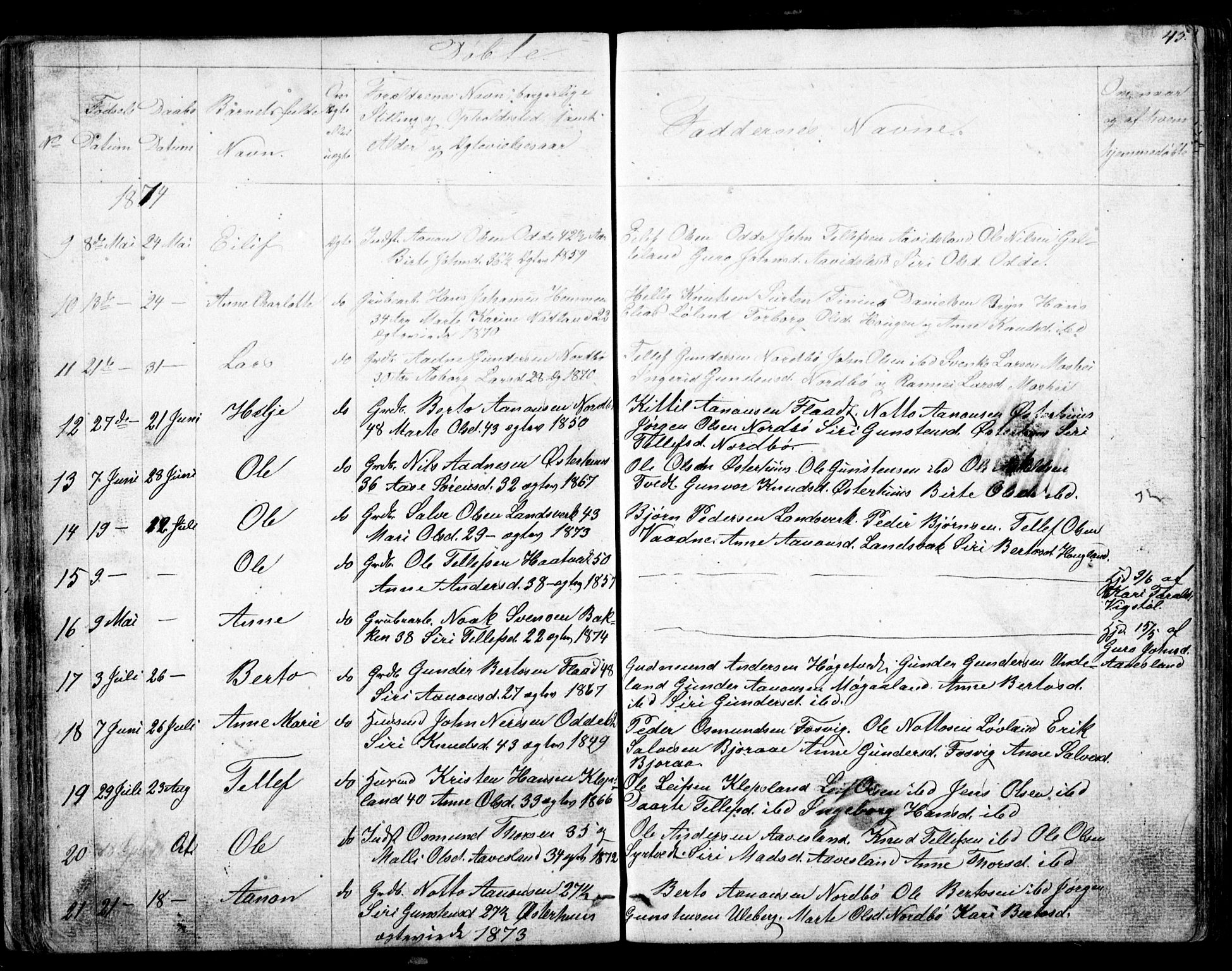 Evje sokneprestkontor, AV/SAK-1111-0008/F/Fb/Fba/L0002: Parish register (copy) no. B 2, 1849-1896, p. 45