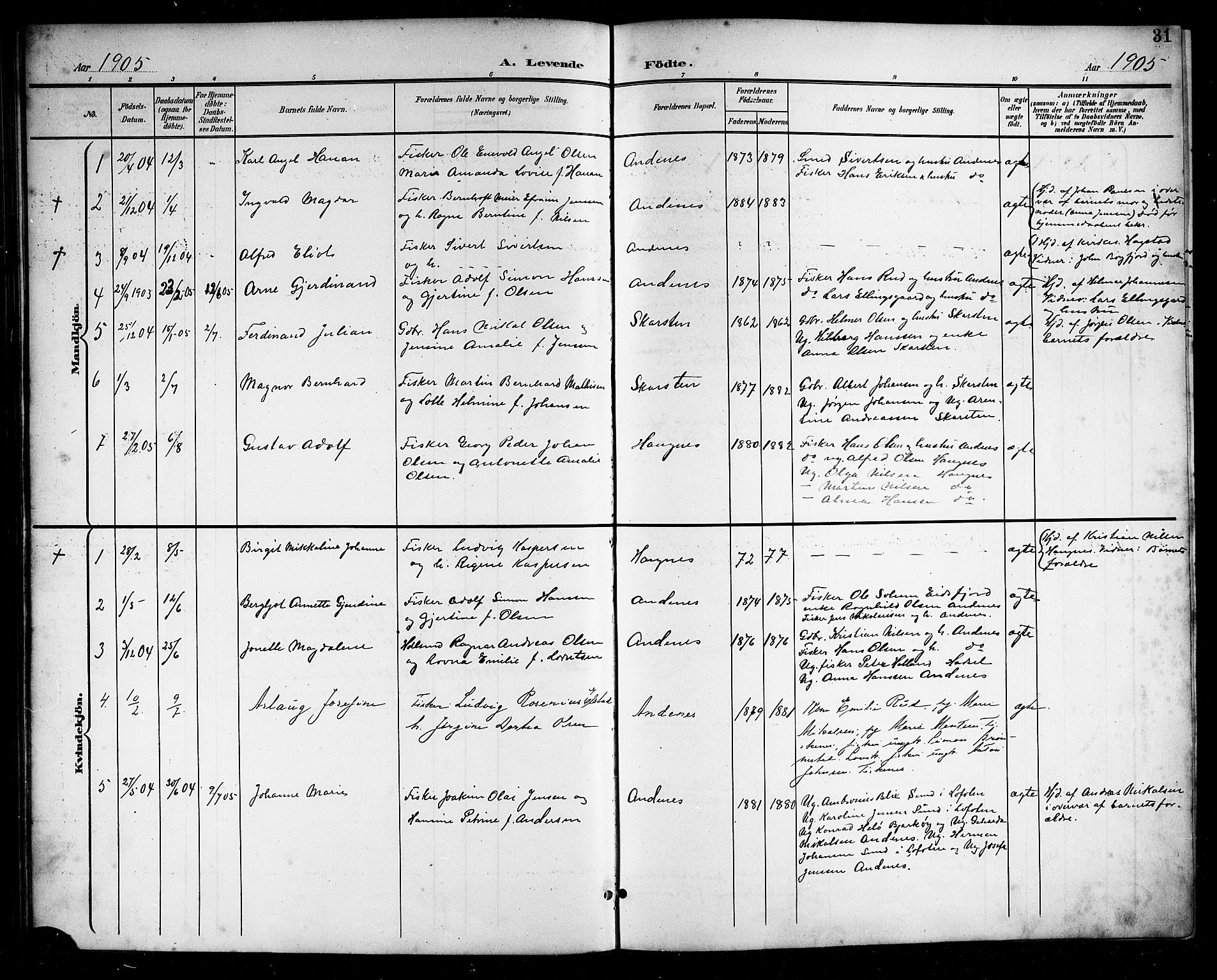Ministerialprotokoller, klokkerbøker og fødselsregistre - Nordland, SAT/A-1459/899/L1449: Parish register (copy) no. 899C04, 1900-1918, p. 31