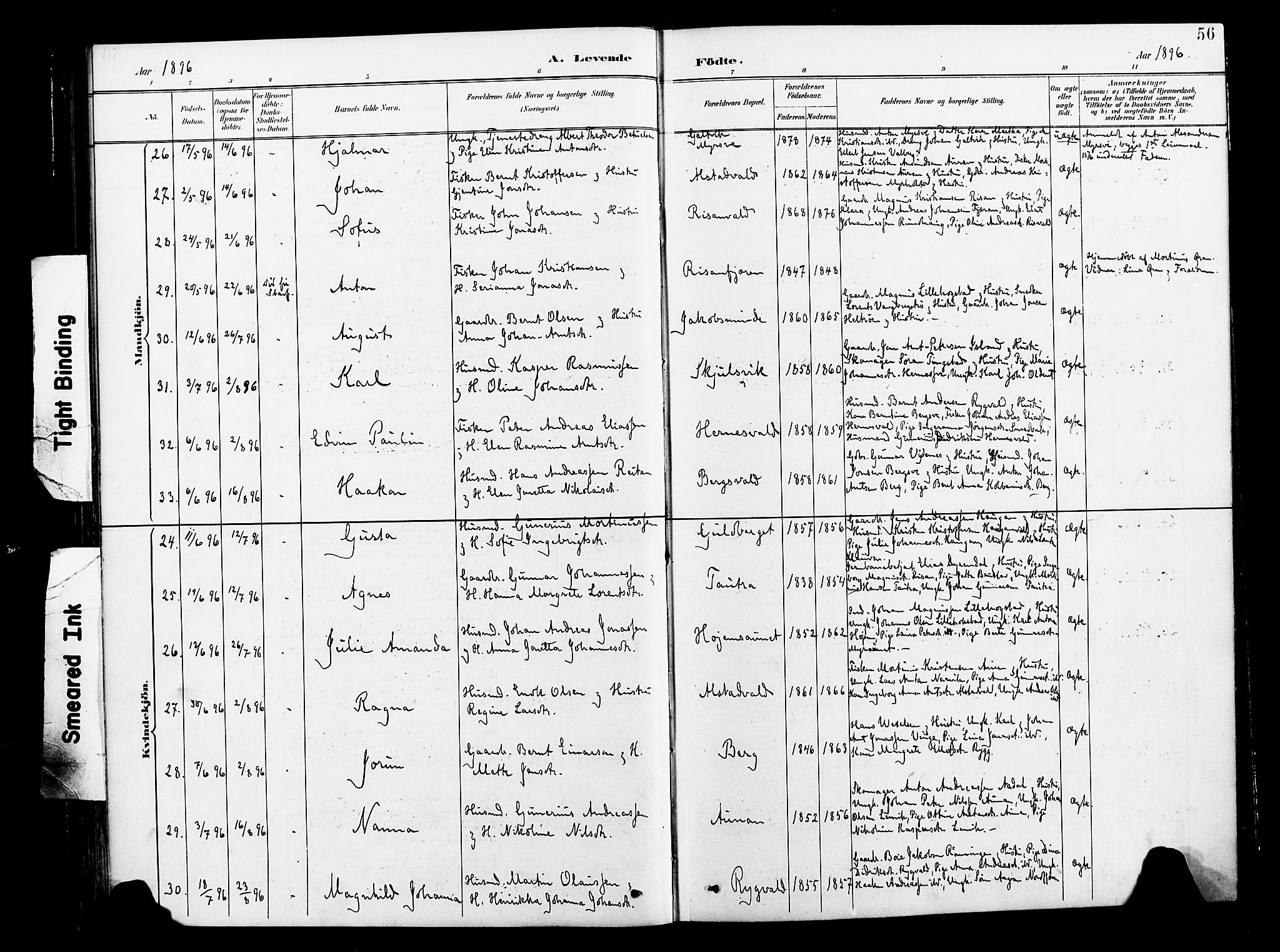 Ministerialprotokoller, klokkerbøker og fødselsregistre - Nord-Trøndelag, AV/SAT-A-1458/713/L0121: Parish register (official) no. 713A10, 1888-1898, p. 56