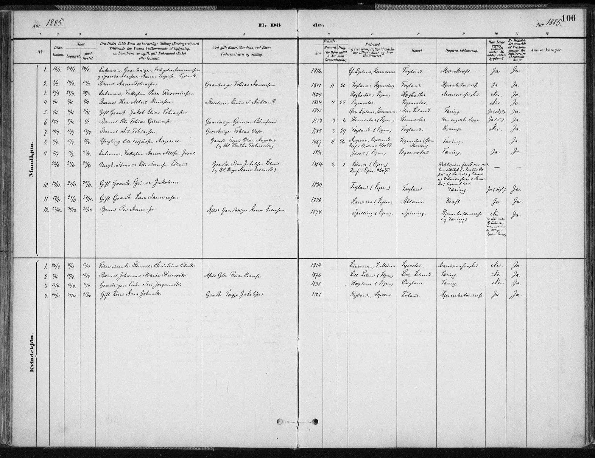 Nord-Audnedal sokneprestkontor, AV/SAK-1111-0032/F/Fa/Fab/L0003: Parish register (official) no. A 3, 1882-1900, p. 106