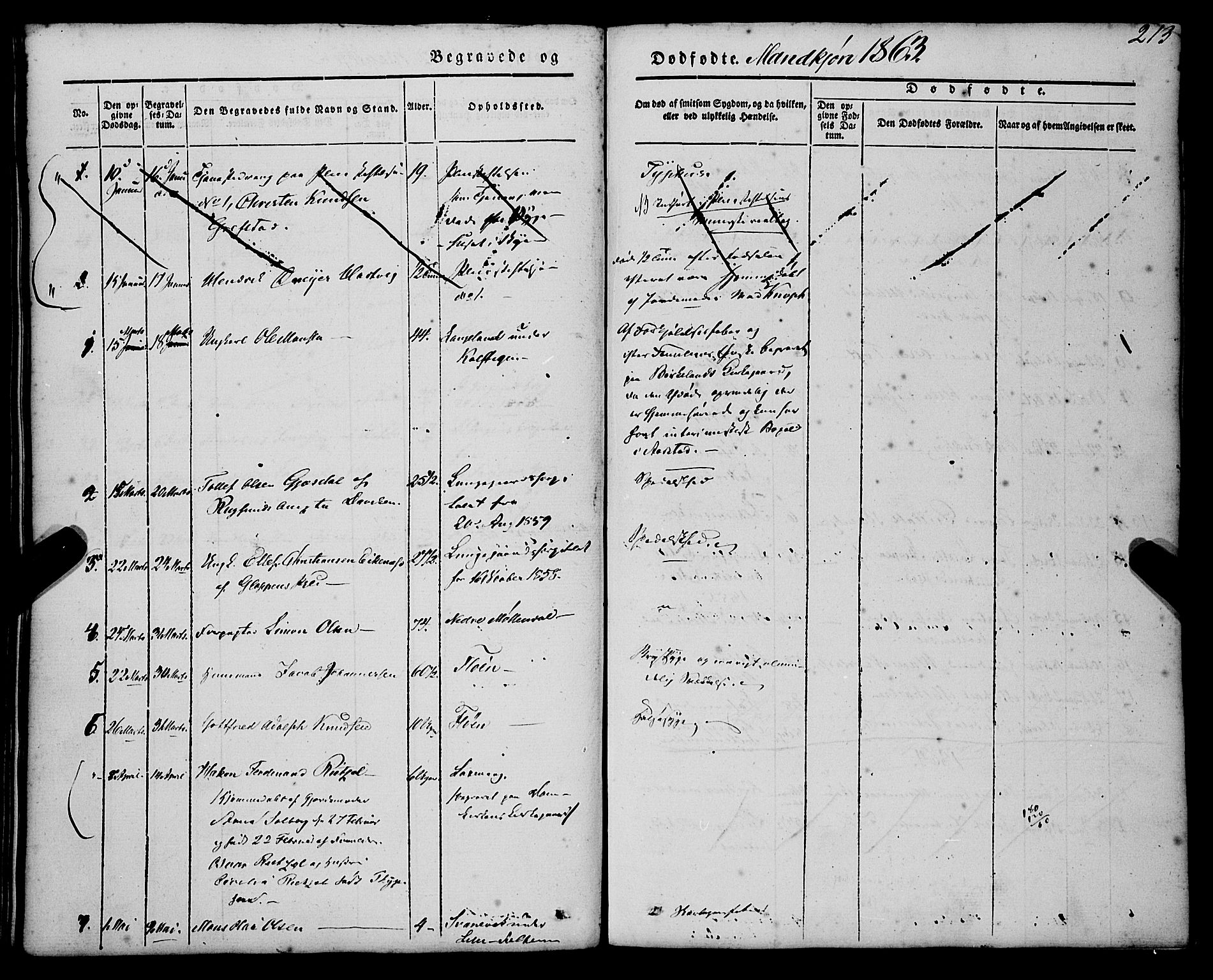 St. Jørgens hospital og Årstad sokneprestembete, SAB/A-99934: Parish register (official) no. A 4, 1844-1863, p. 213