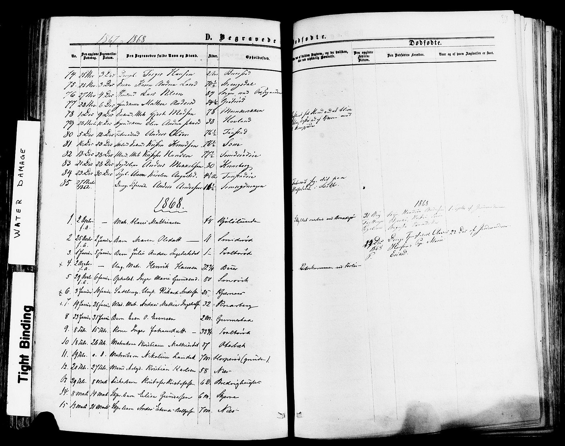 Nøtterøy kirkebøker, SAKO/A-354/F/Fa/L0007: Parish register (official) no. I 7, 1865-1877, p. 318