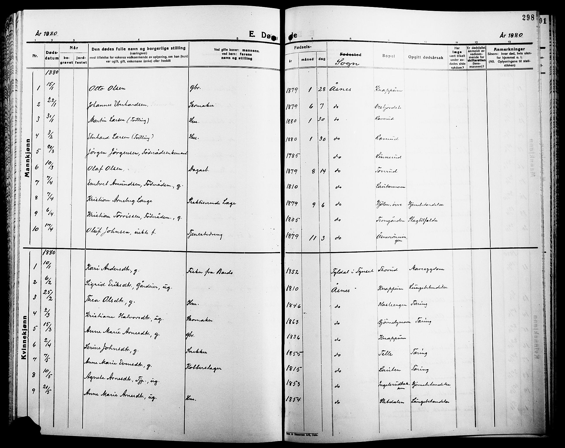 Åsnes prestekontor, SAH/PREST-042/H/Ha/Haa/L0000B: Parish register (official), 1870-1889, p. 298