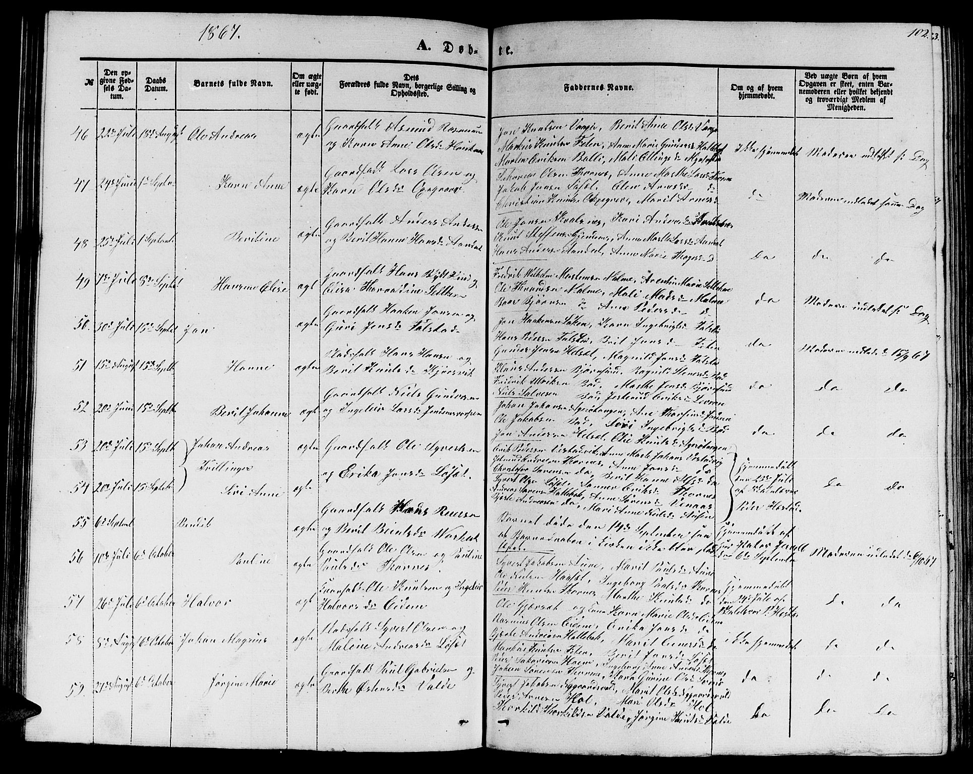 Ministerialprotokoller, klokkerbøker og fødselsregistre - Møre og Romsdal, AV/SAT-A-1454/565/L0753: Parish register (copy) no. 565C02, 1845-1870, p. 102