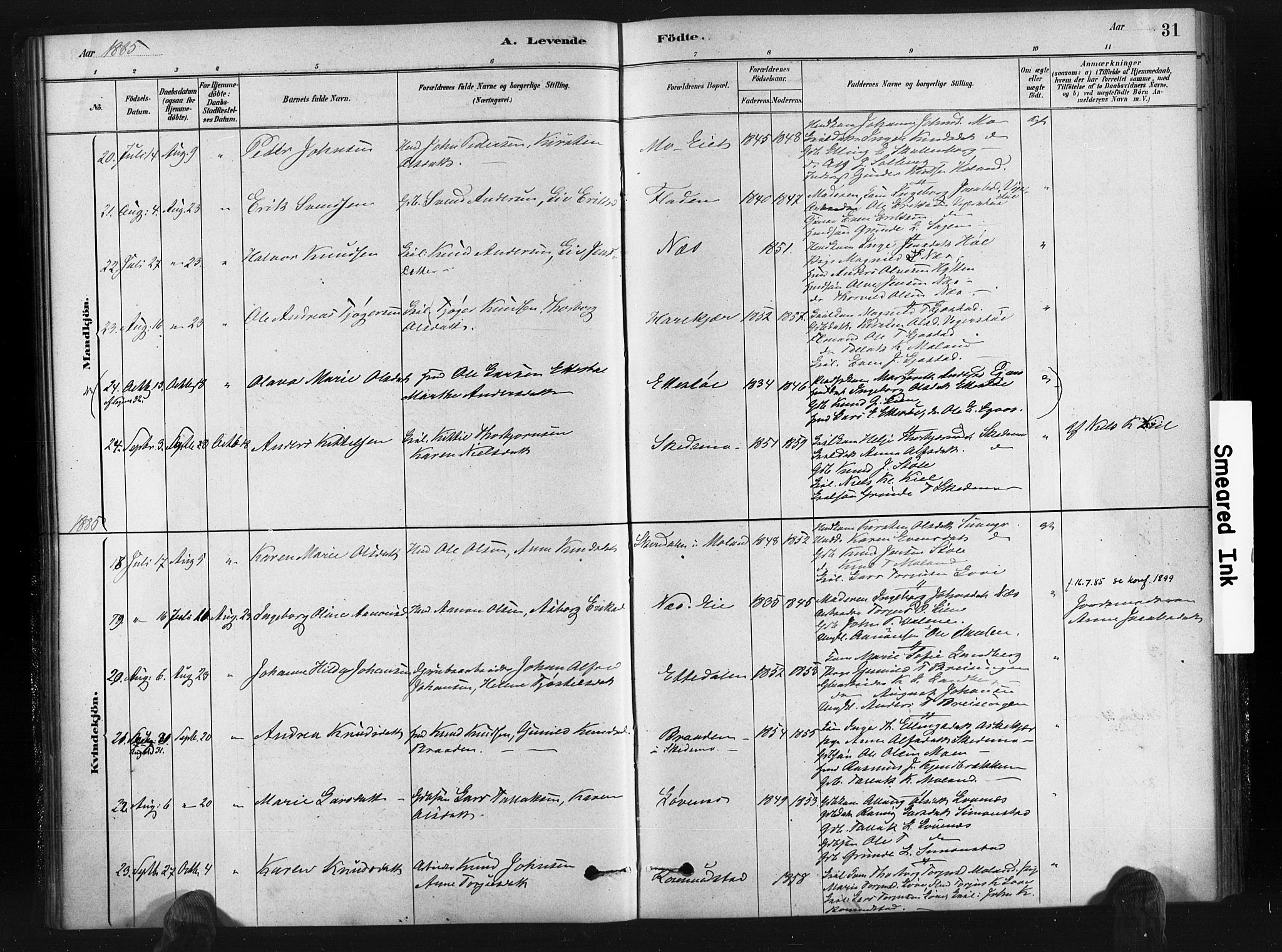 Gjerstad sokneprestkontor, AV/SAK-1111-0014/F/Fa/Fab/L0004: Parish register (official) no. A 4, 1879-1890, p. 31