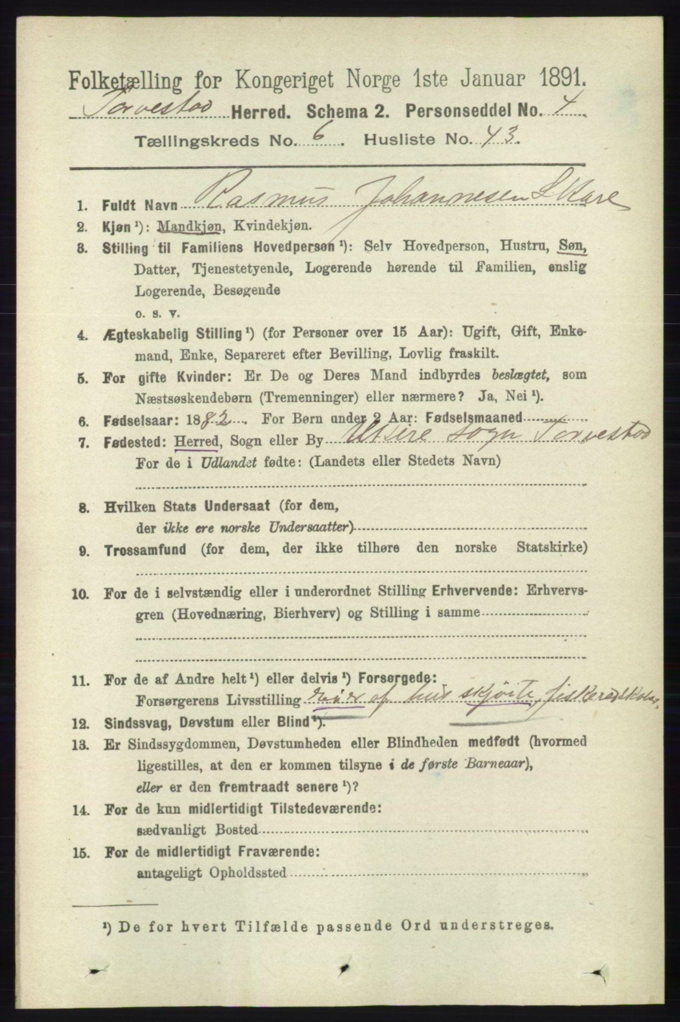 RA, 1891 census for 1152 Torvastad, 1891, p. 2198