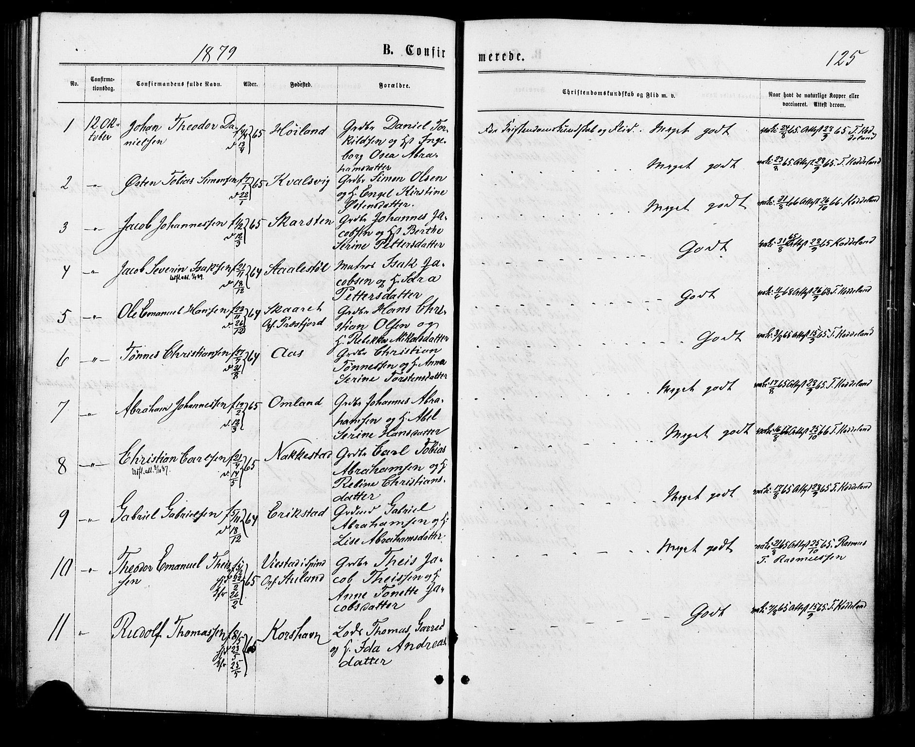 Lyngdal sokneprestkontor, AV/SAK-1111-0029/F/Fa/Faa/L0003: Parish register (official) no. A 3, 1871-1882, p. 125