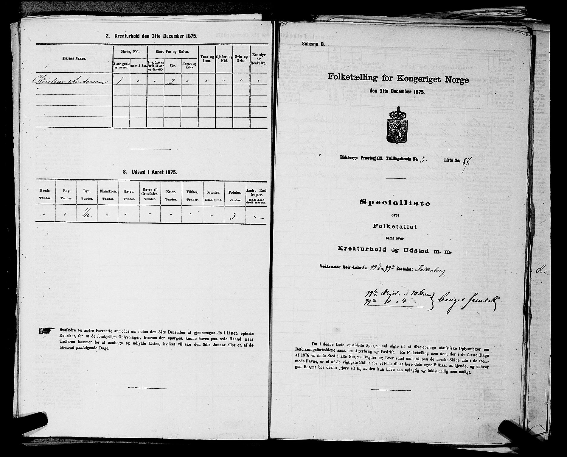RA, 1875 census for 0125P Eidsberg, 1875, p. 603