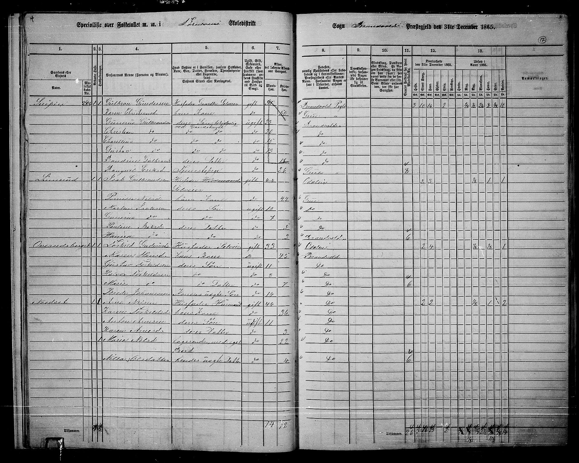 RA, 1865 census for Brandval, 1865, p. 16