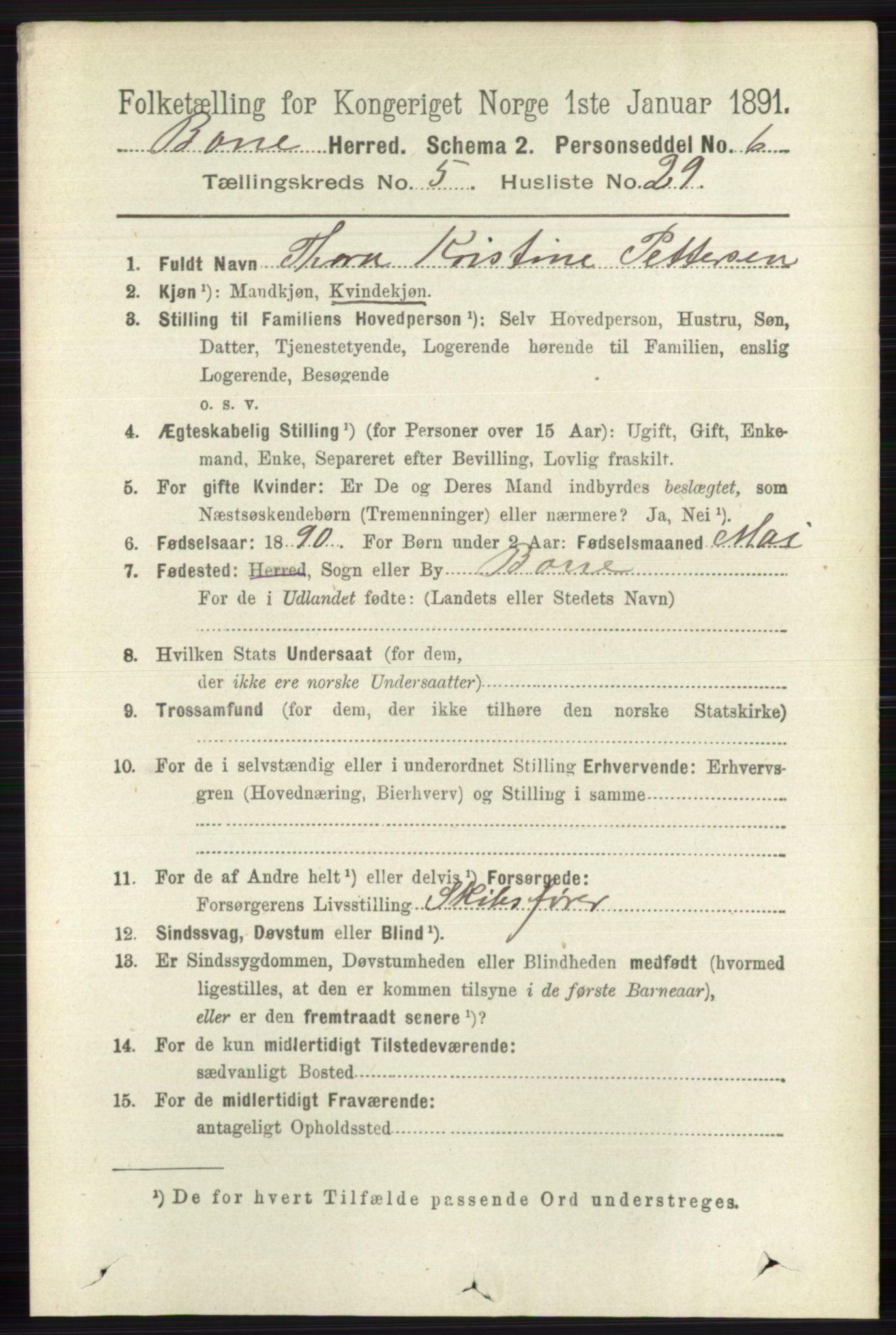 RA, 1891 census for 0717 Borre, 1891, p. 2199
