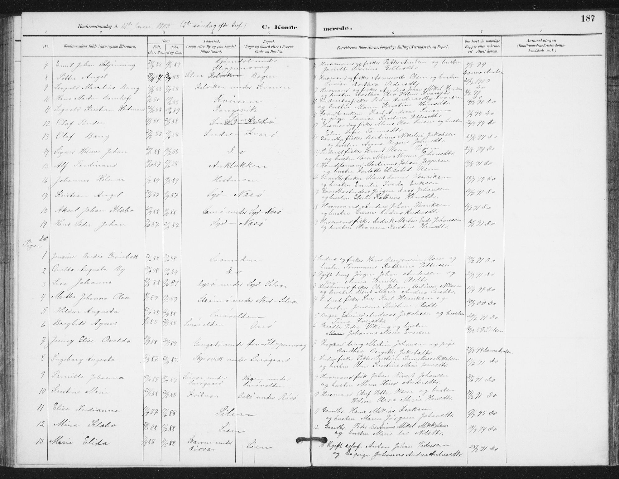 Ministerialprotokoller, klokkerbøker og fødselsregistre - Nordland, AV/SAT-A-1459/839/L0573: Parish register (copy) no. 839C03, 1892-1917, p. 187