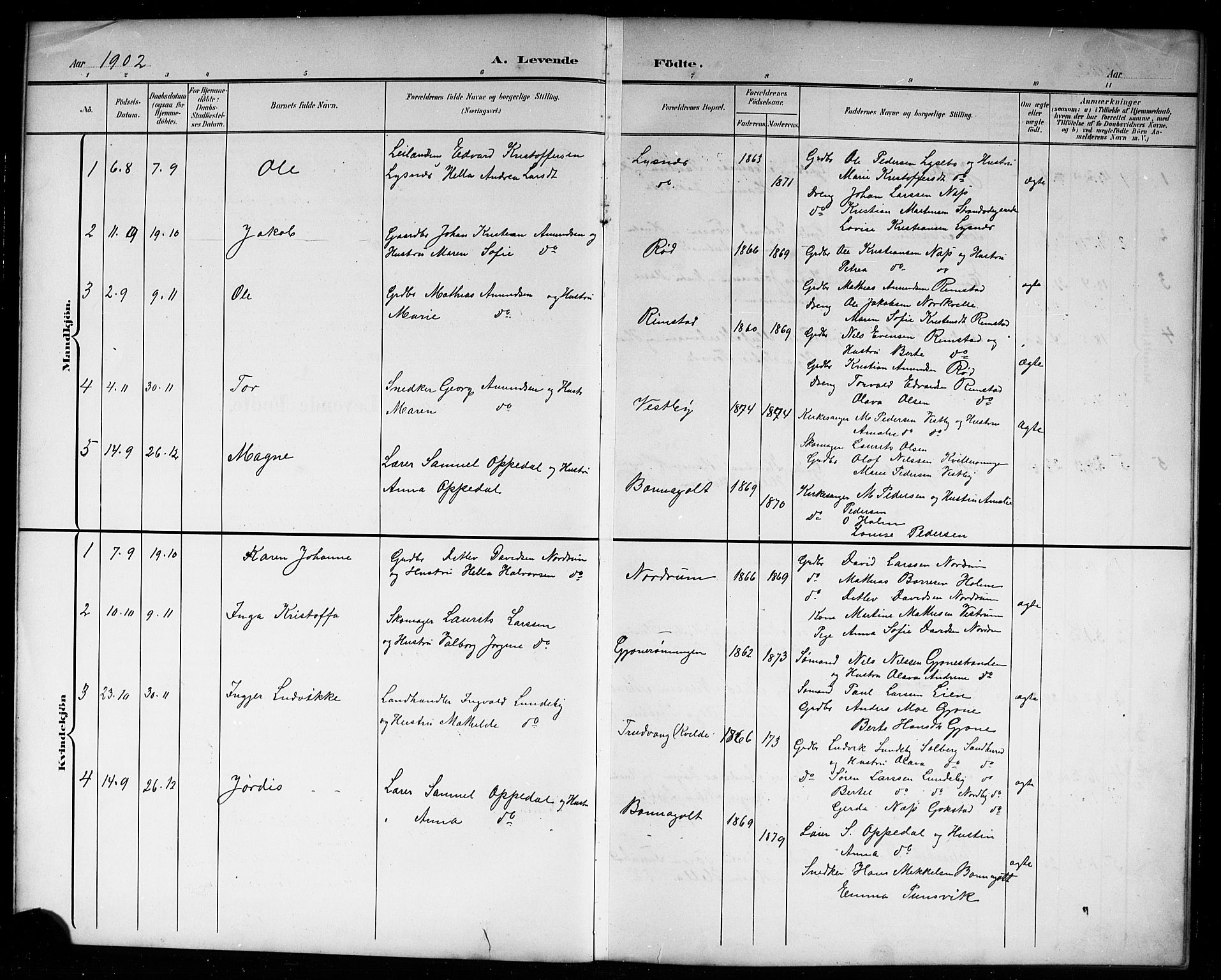 Hedrum kirkebøker, AV/SAKO-A-344/G/Gb/L0001: Parish register (copy) no. II 1, 1902-1920