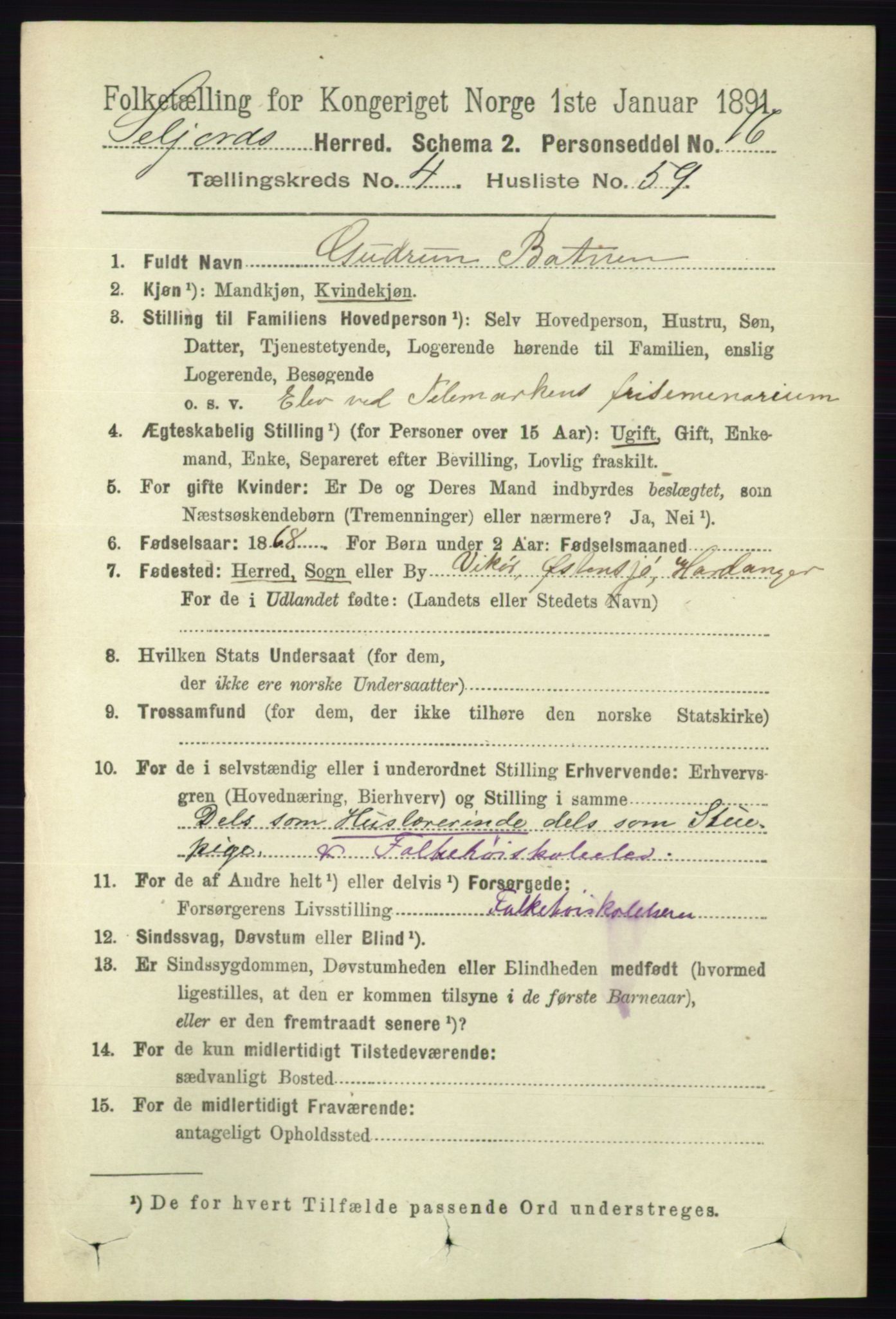 RA, 1891 census for 0828 Seljord, 1891, p. 1637
