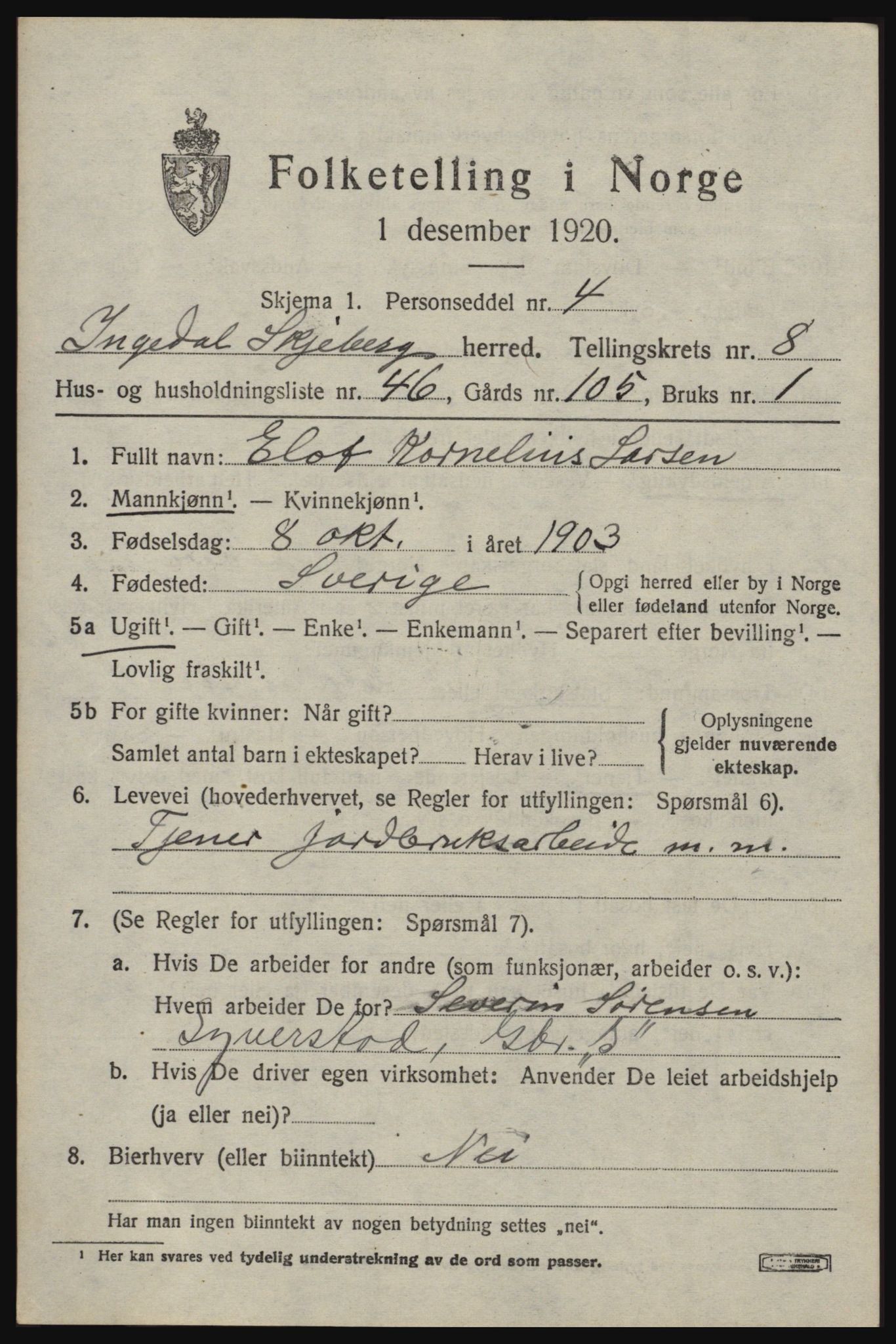 SAO, 1920 census for Skjeberg, 1920, p. 8389