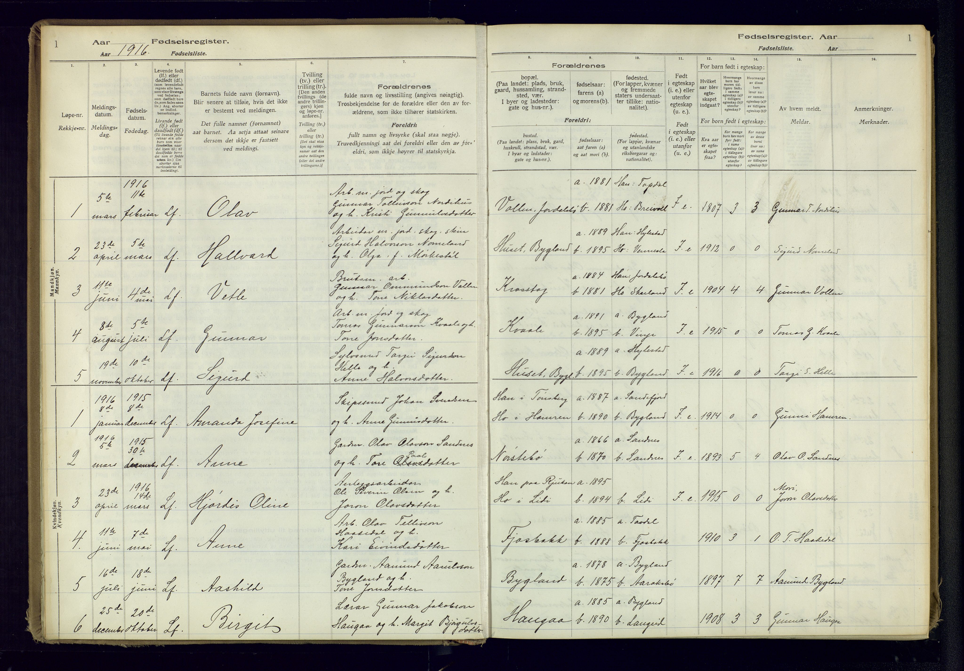 Bygland sokneprestkontor, SAK/1111-0006/J/Ja/L0001: Birth register no. II.4.2, 1916-1982, p. 1