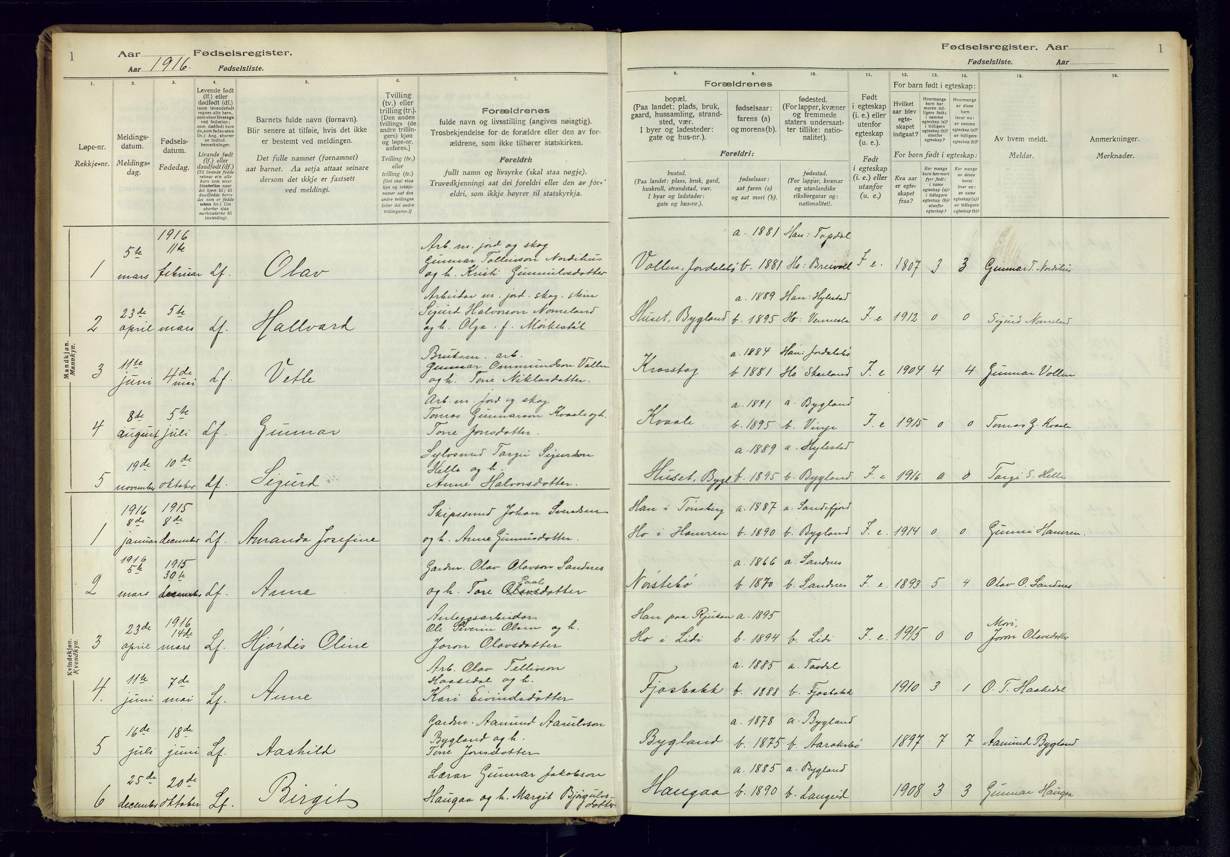 Bygland sokneprestkontor, AV/SAK-1111-0006/J/Ja/L0001: Birth register no. II.4.2, 1916-1982, p. 1