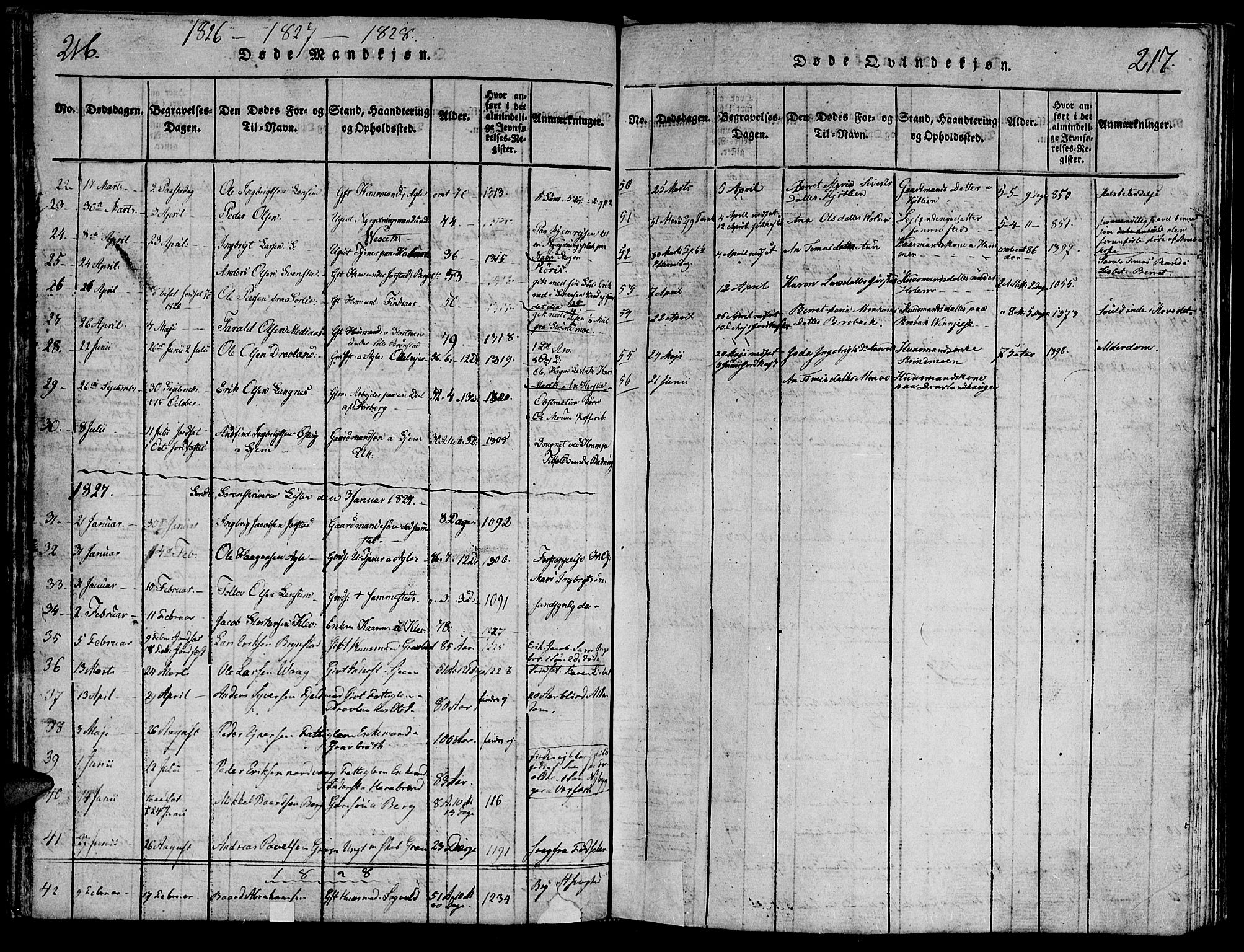 Ministerialprotokoller, klokkerbøker og fødselsregistre - Nord-Trøndelag, SAT/A-1458/749/L0479: Parish register (copy) no. 749C01, 1817-1829, p. 216-217