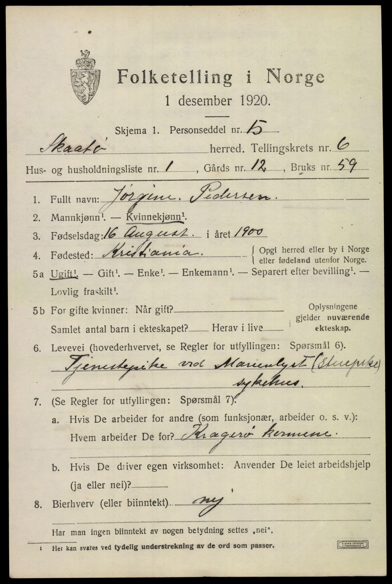 SAKO, 1920 census for Skåtøy, 1920, p. 4704