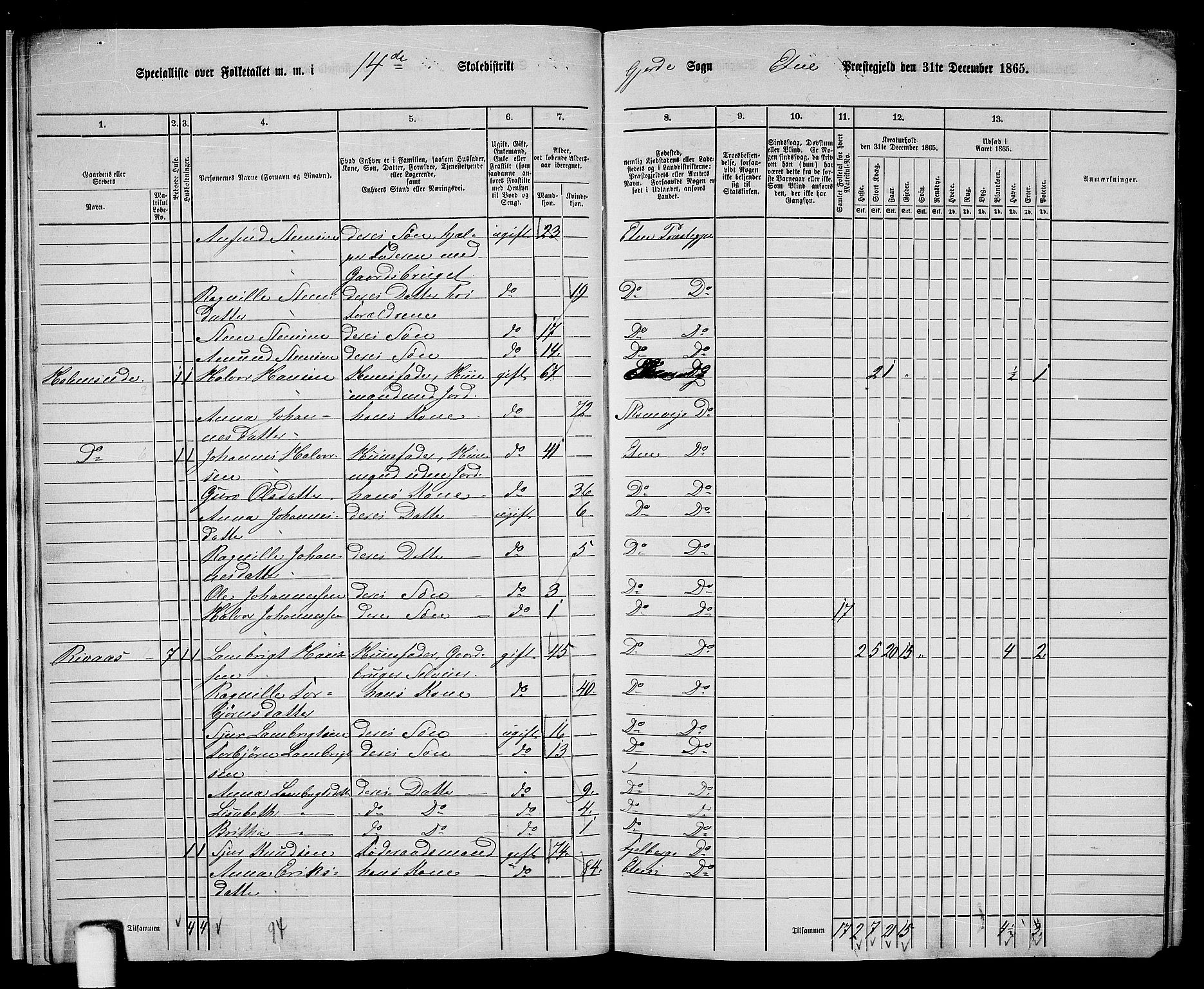 RA, 1865 census for Etne, 1865, p. 15