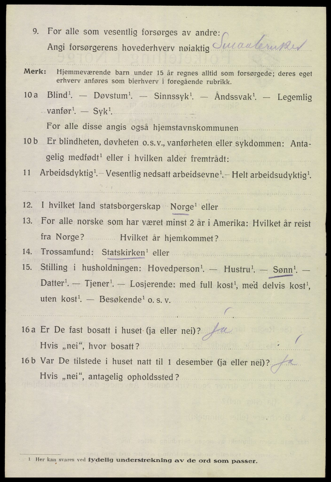 SAH, 1920 census for Vang (Hedmark), 1920, p. 18086