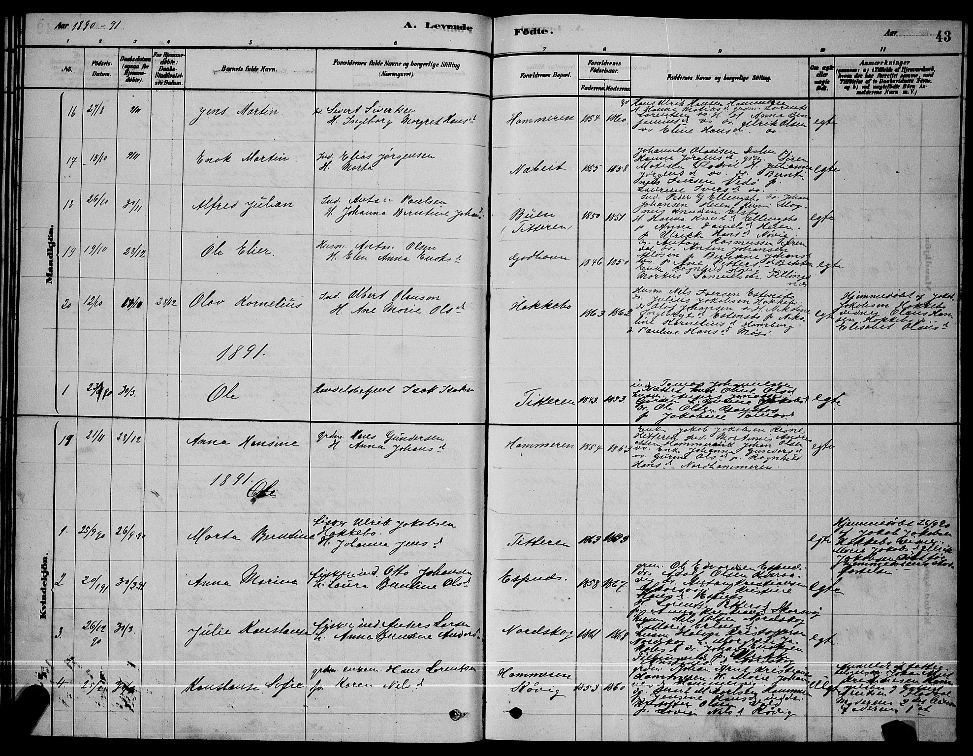 Ministerialprotokoller, klokkerbøker og fødselsregistre - Sør-Trøndelag, SAT/A-1456/641/L0597: Parish register (copy) no. 641C01, 1878-1893, p. 43