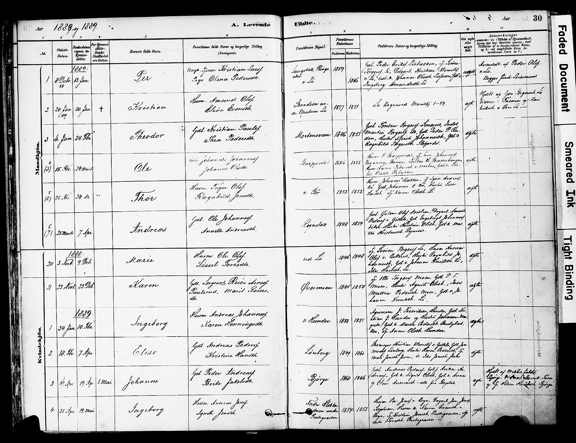 Øyer prestekontor, AV/SAH-PREST-084/H/Ha/Haa/L0008: Parish register (official) no. 8, 1878-1897, p. 30