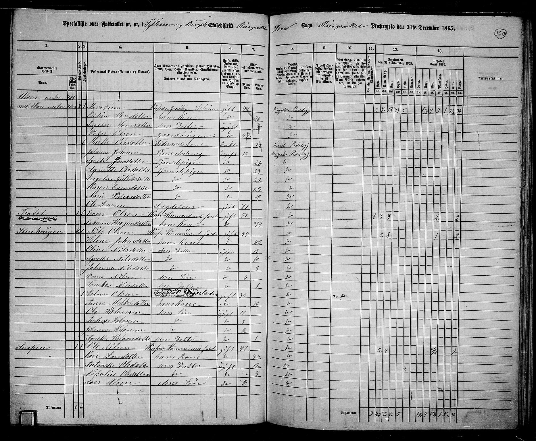 RA, 1865 census for Ringsaker, 1865, p. 394