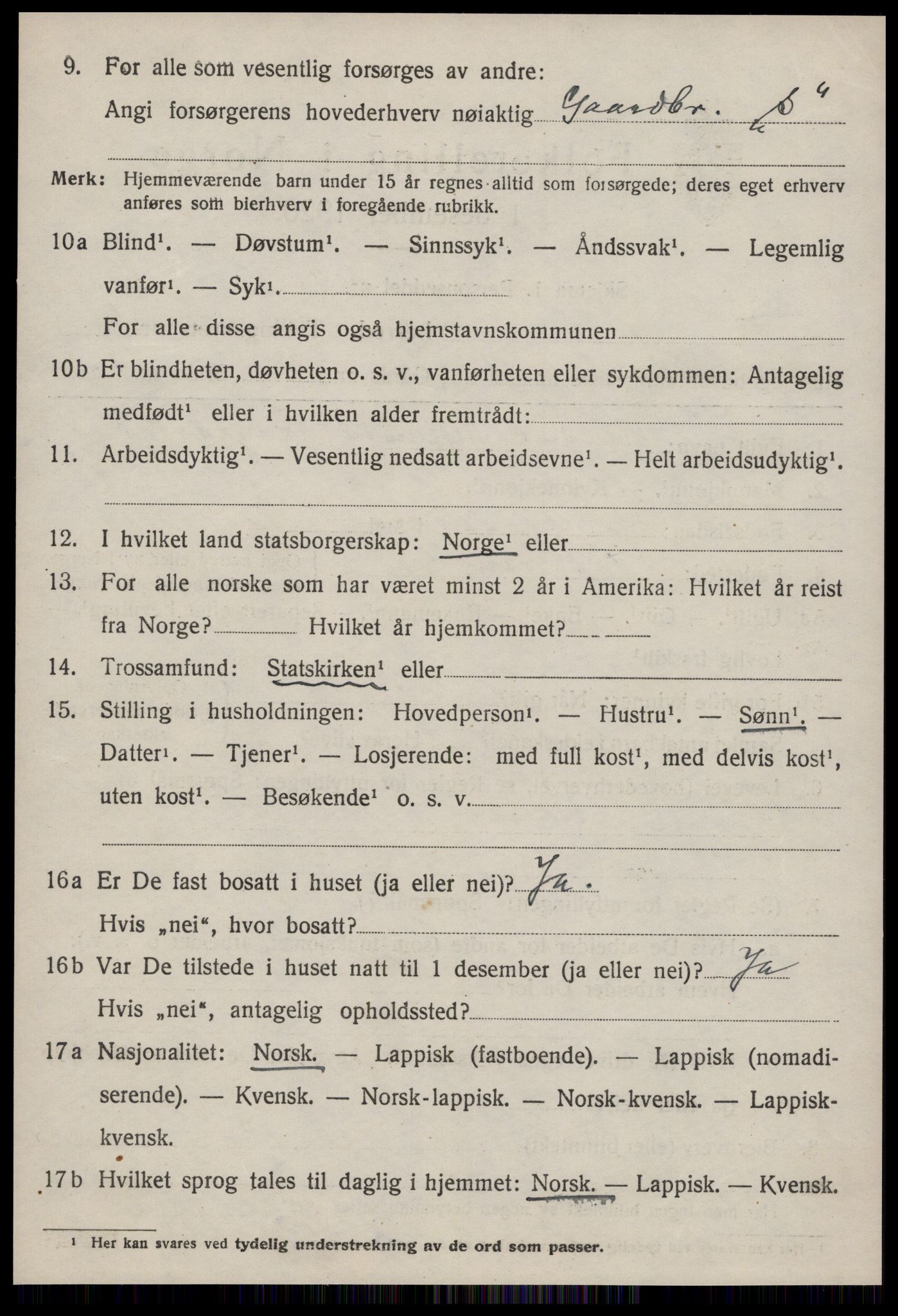 SAT, 1920 census for Støren, 1920, p. 1433