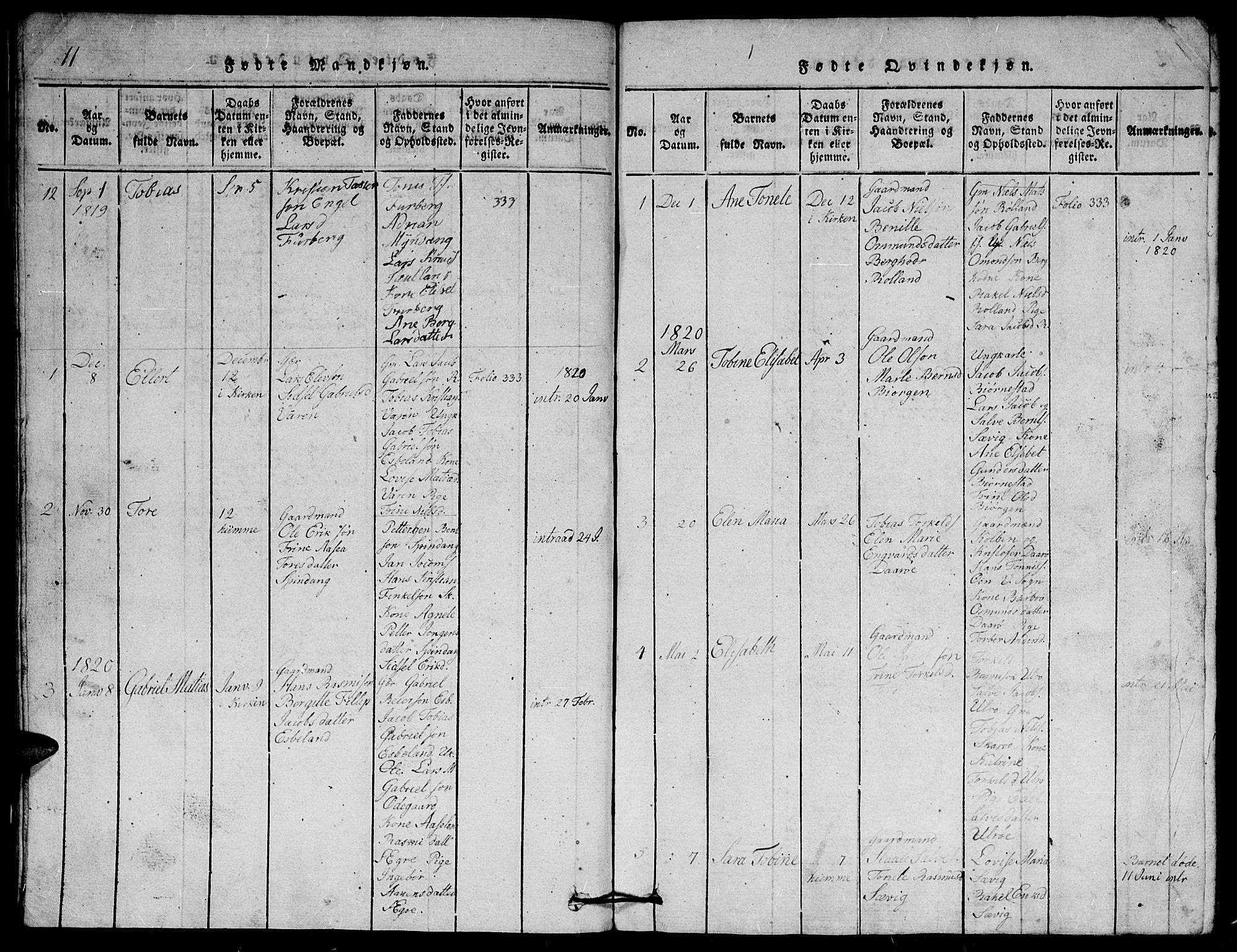 Herad sokneprestkontor, AV/SAK-1111-0018/F/Fb/Fbb/L0001: Parish register (copy) no. B 1, 1815-1852, p. 11