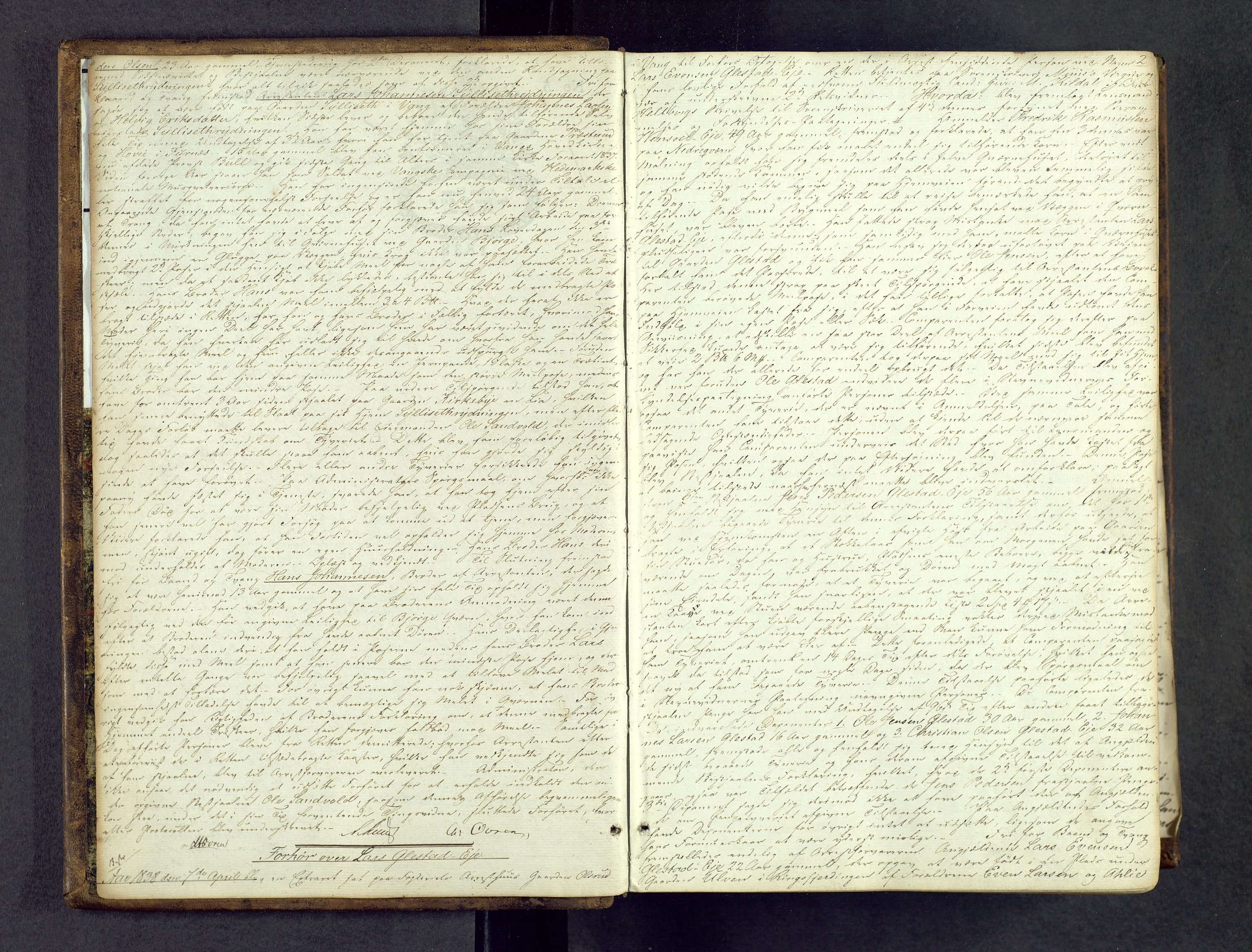 Nord-Hedmark sorenskriveri, SAH/TING-012/G/Gc/L0006: Ekstrarettsprotokoll, 1838-1845, p. 1b-2a
