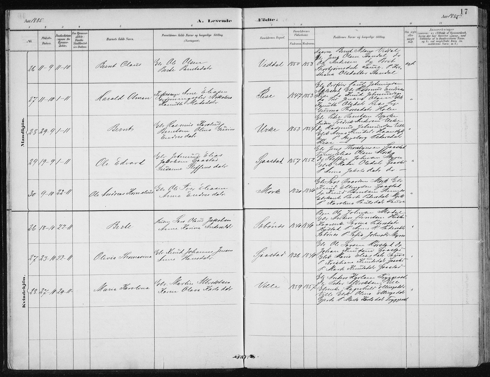 Ministerialprotokoller, klokkerbøker og fødselsregistre - Møre og Romsdal, AV/SAT-A-1454/515/L0215: Parish register (copy) no. 515C02, 1884-1906, p. 17