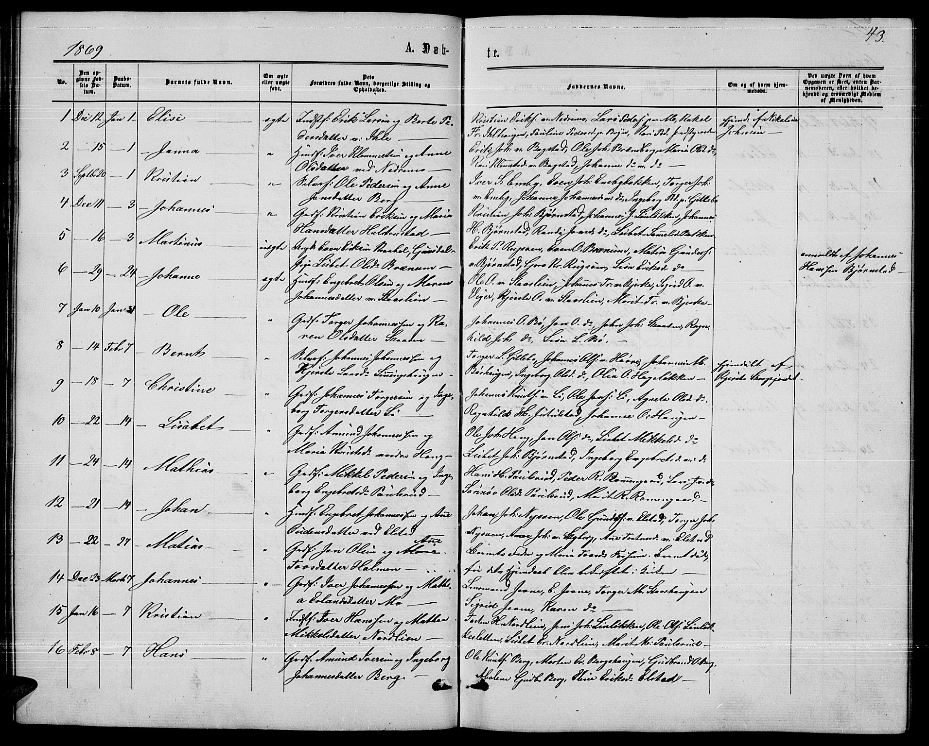 Øyer prestekontor, AV/SAH-PREST-084/H/Ha/Hab/L0001: Parish register (copy) no. 1, 1863-1877, p. 43